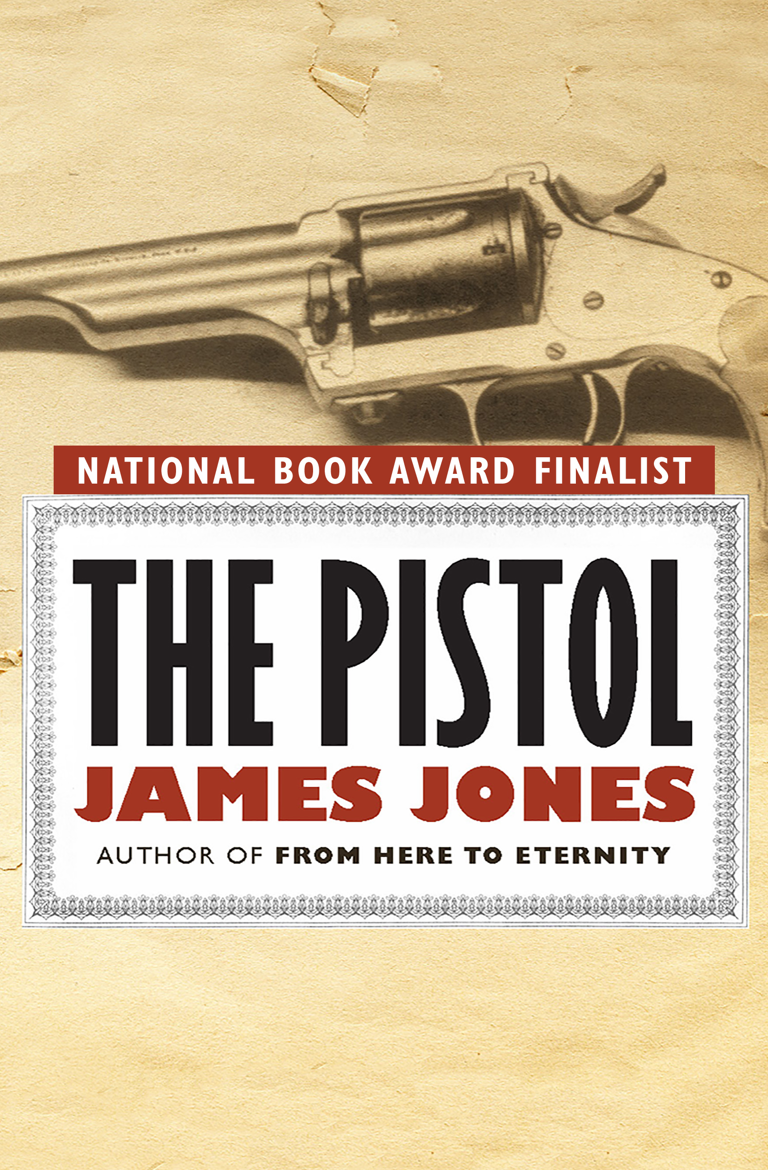 This image is the cover for the book Pistol