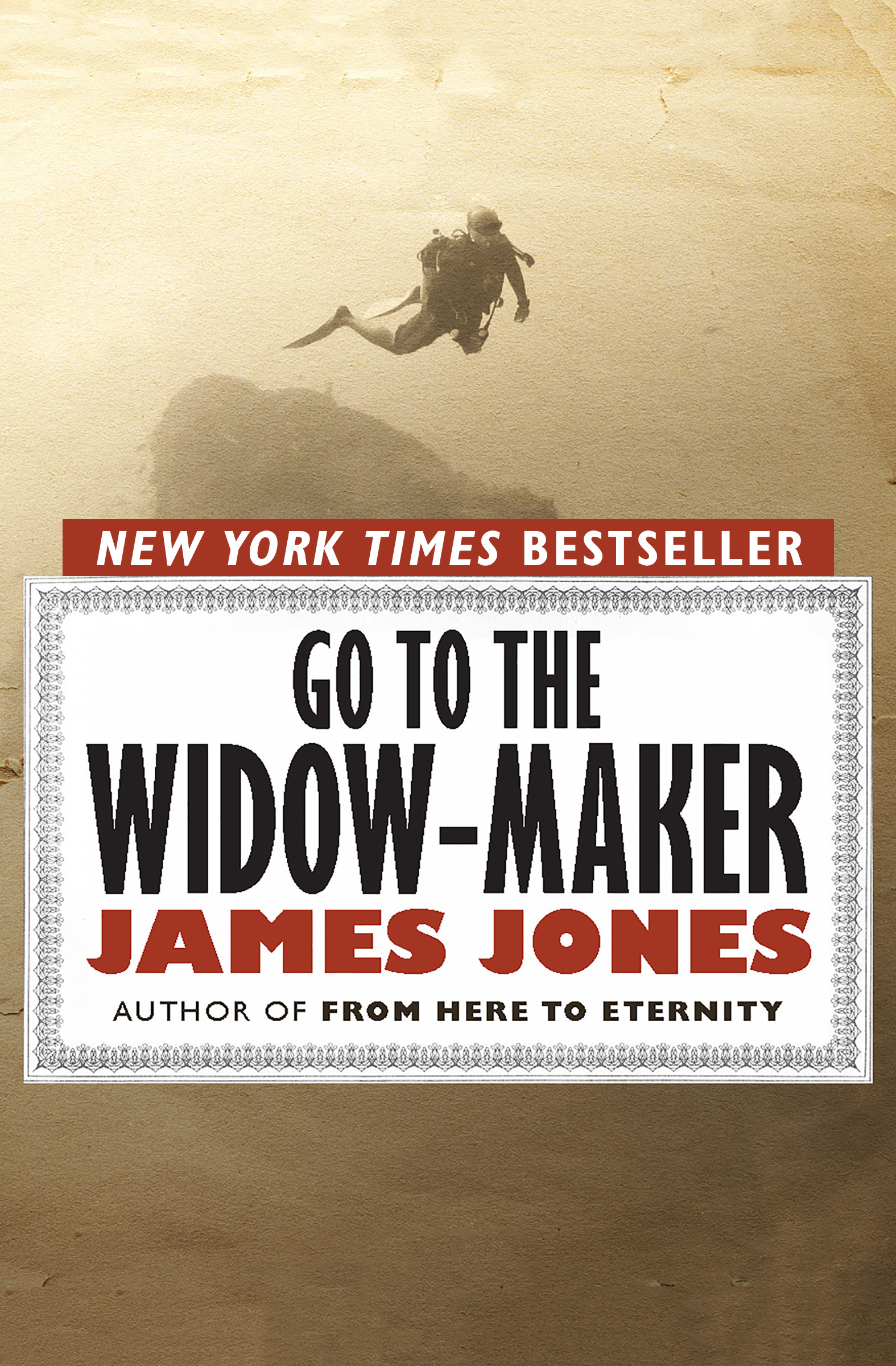 This image is the cover for the book Go to the Widow-Maker