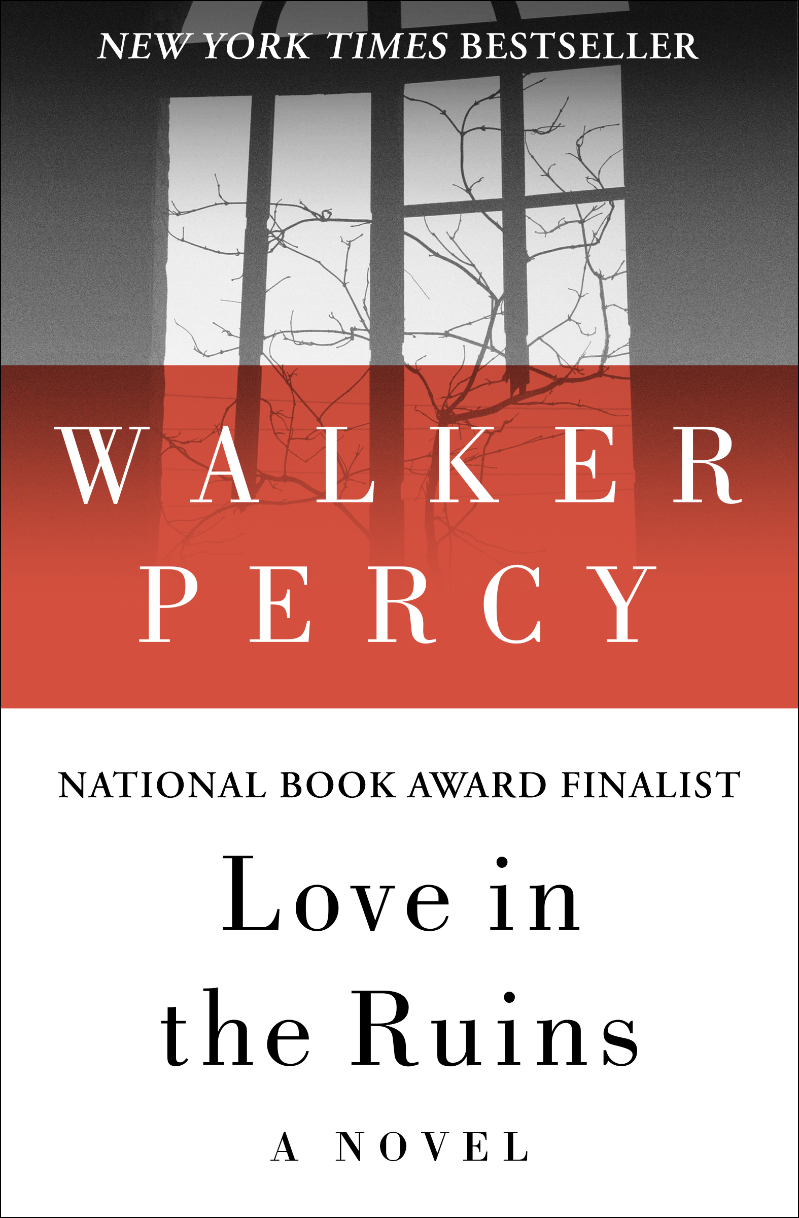 This image is the cover for the book Love in the Ruins
