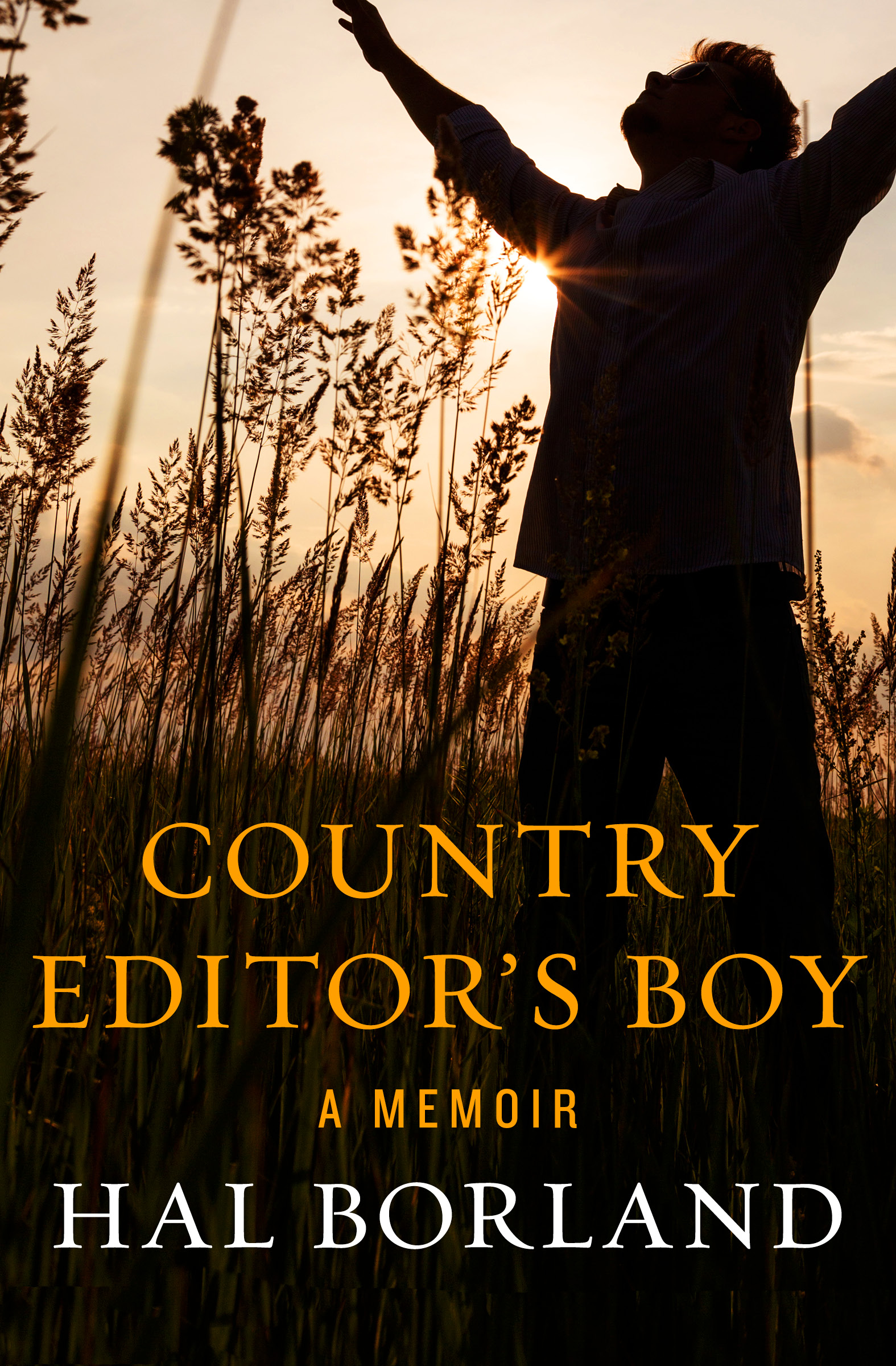 This image is the cover for the book Country Editor's Boy