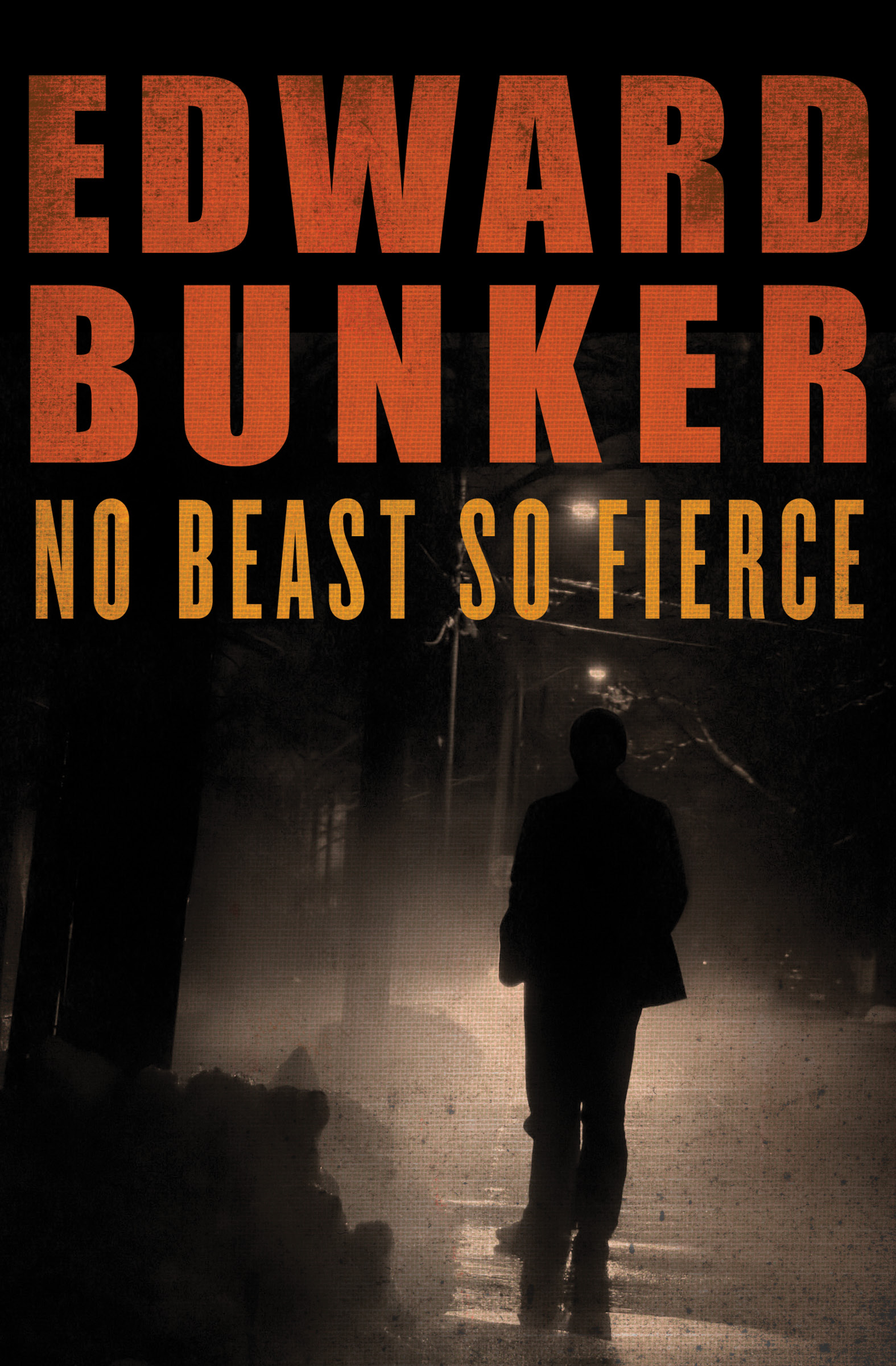 This image is the cover for the book No Beast So Fierce