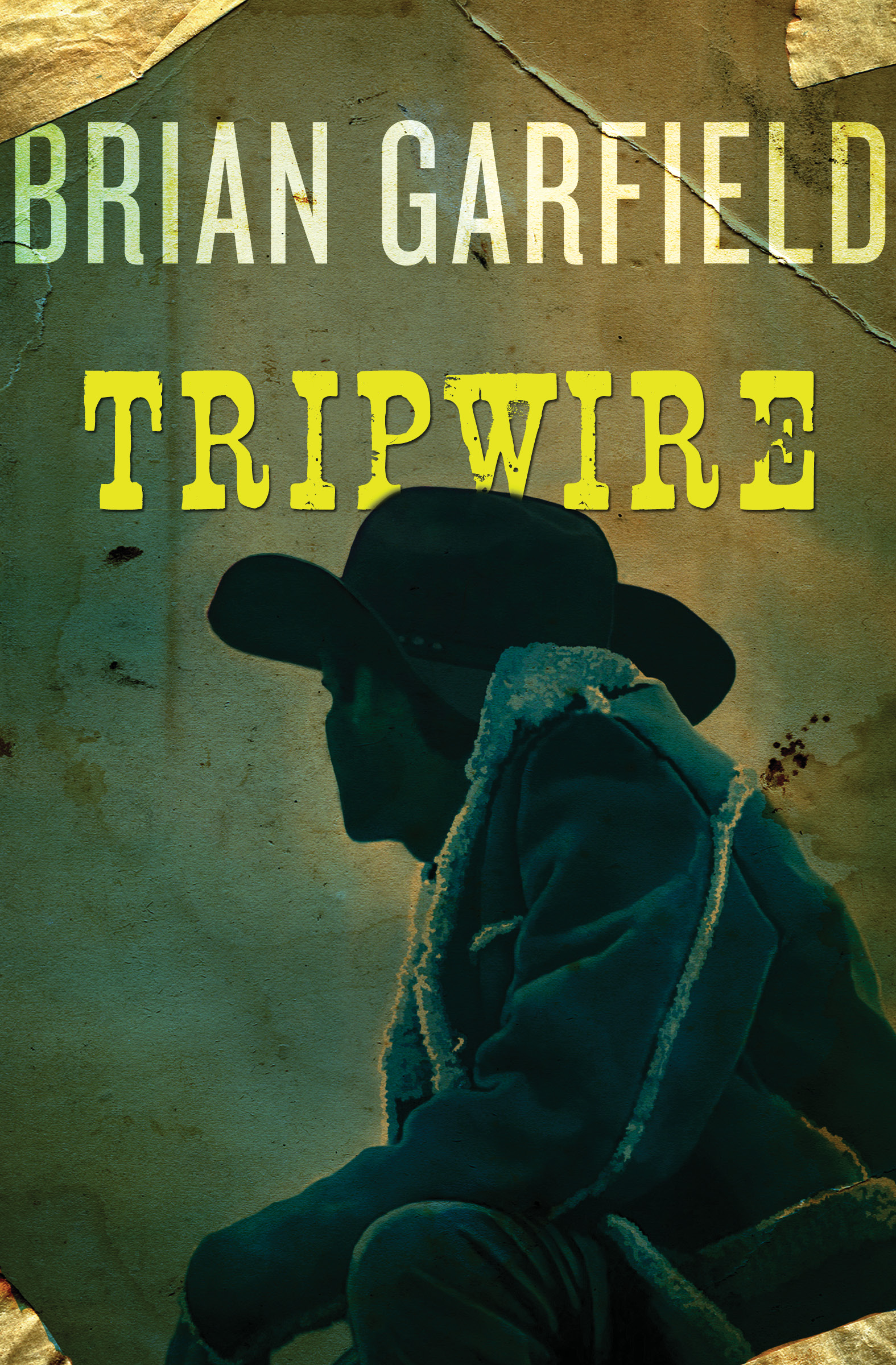 This image is the cover for the book Tripwire