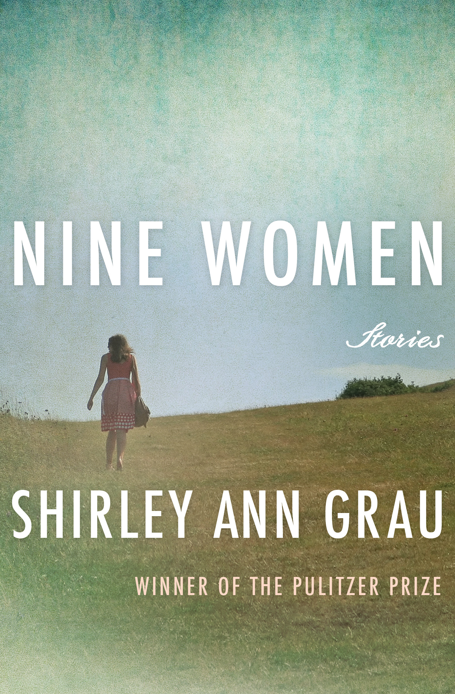 This image is the cover for the book Nine Women