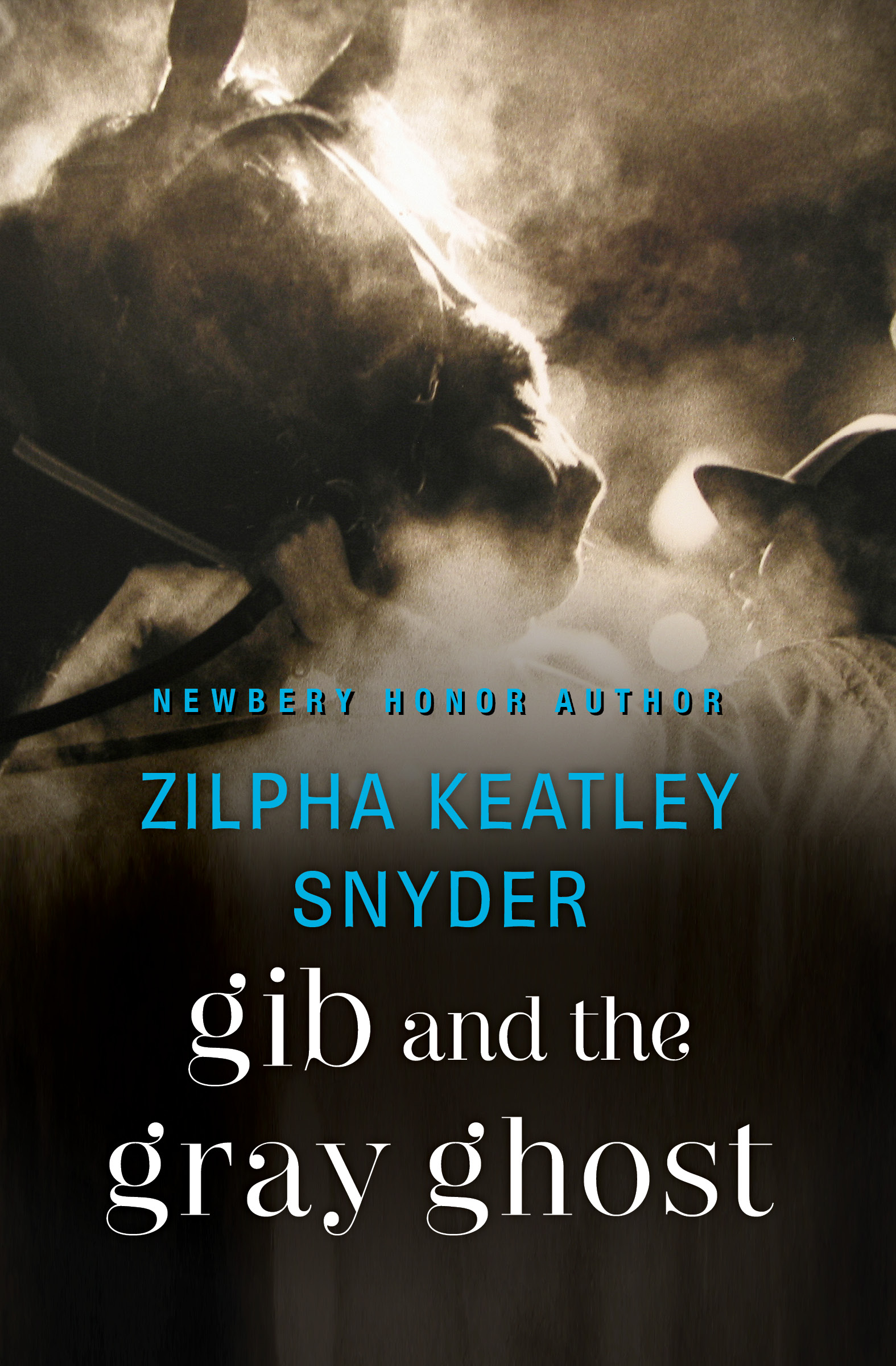 This image is the cover for the book Gib and the Gray Ghost, Gib
