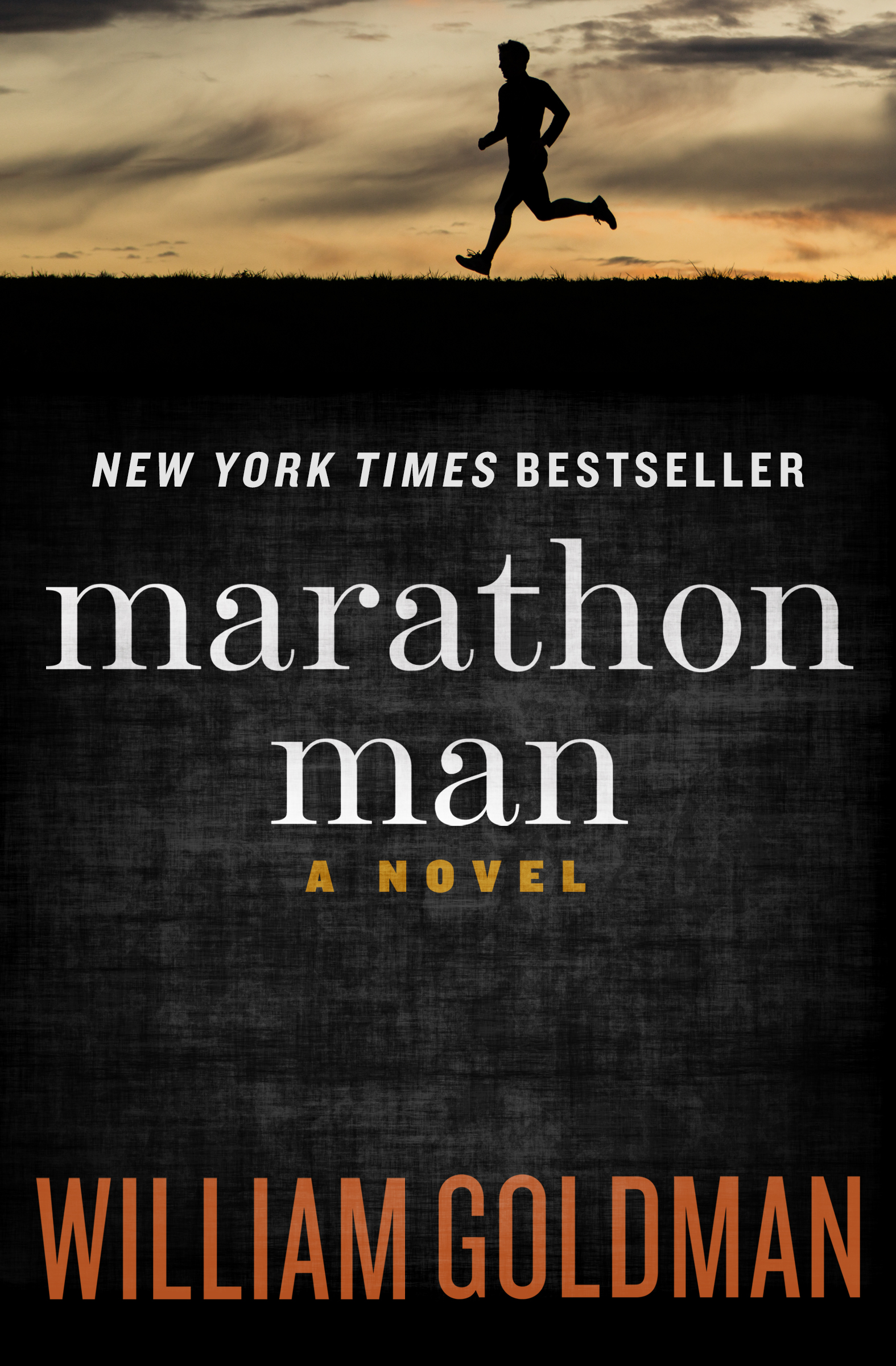 This image is the cover for the book Marathon Man