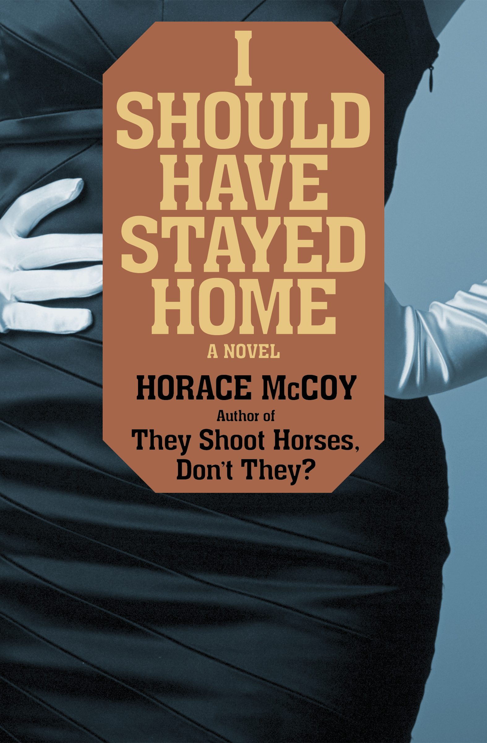 This image is the cover for the book I Should Have Stayed Home