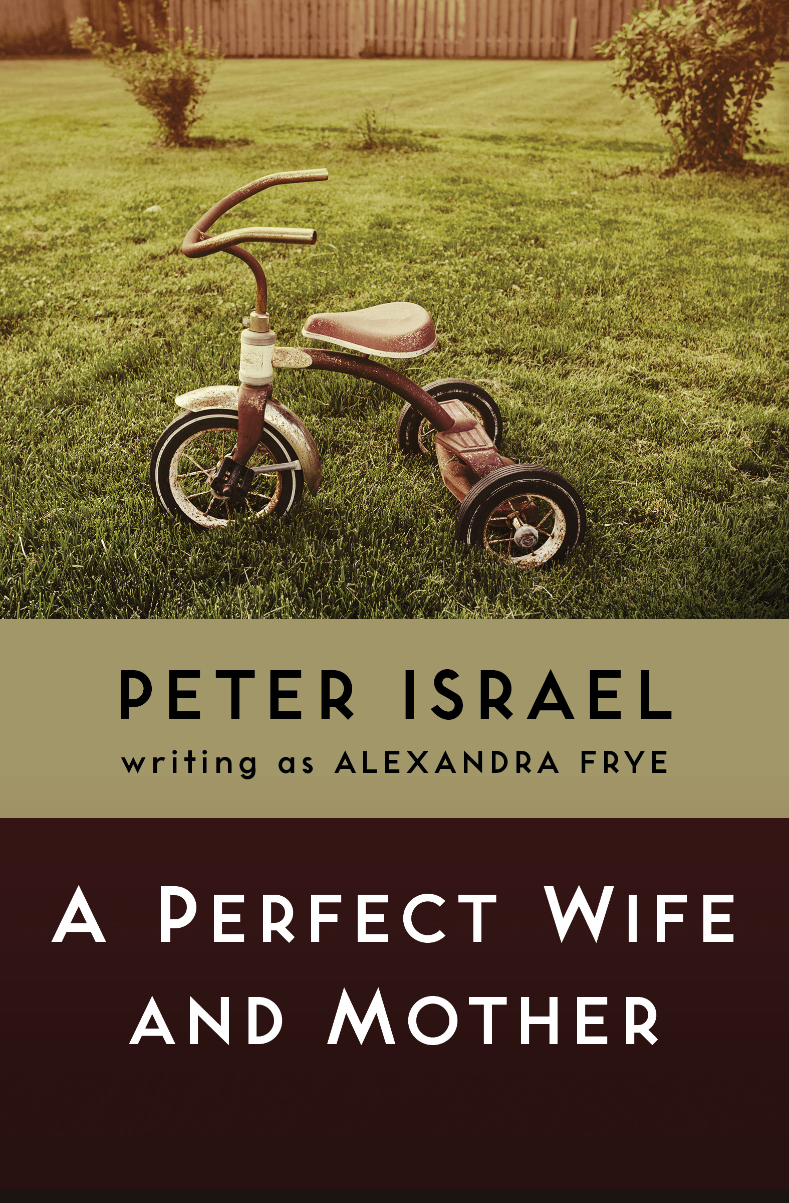 This image is the cover for the book Perfect Wife and Mother