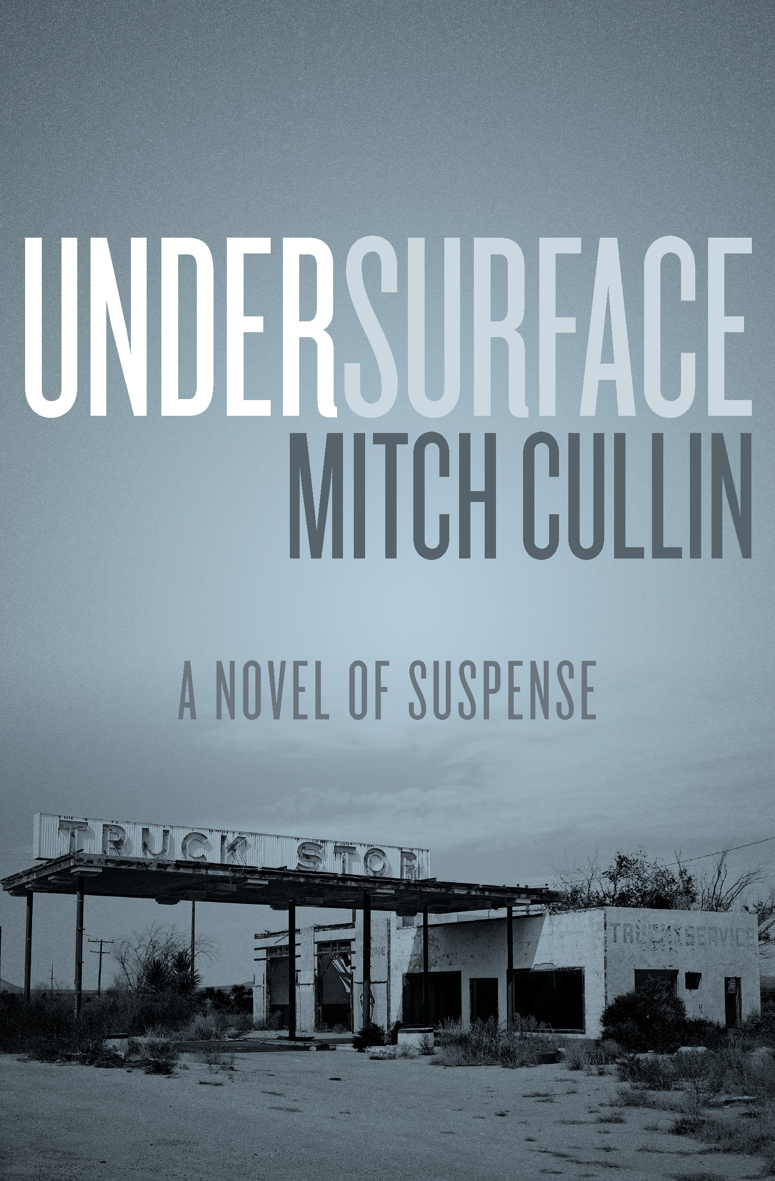 This image is the cover for the book UnderSurface