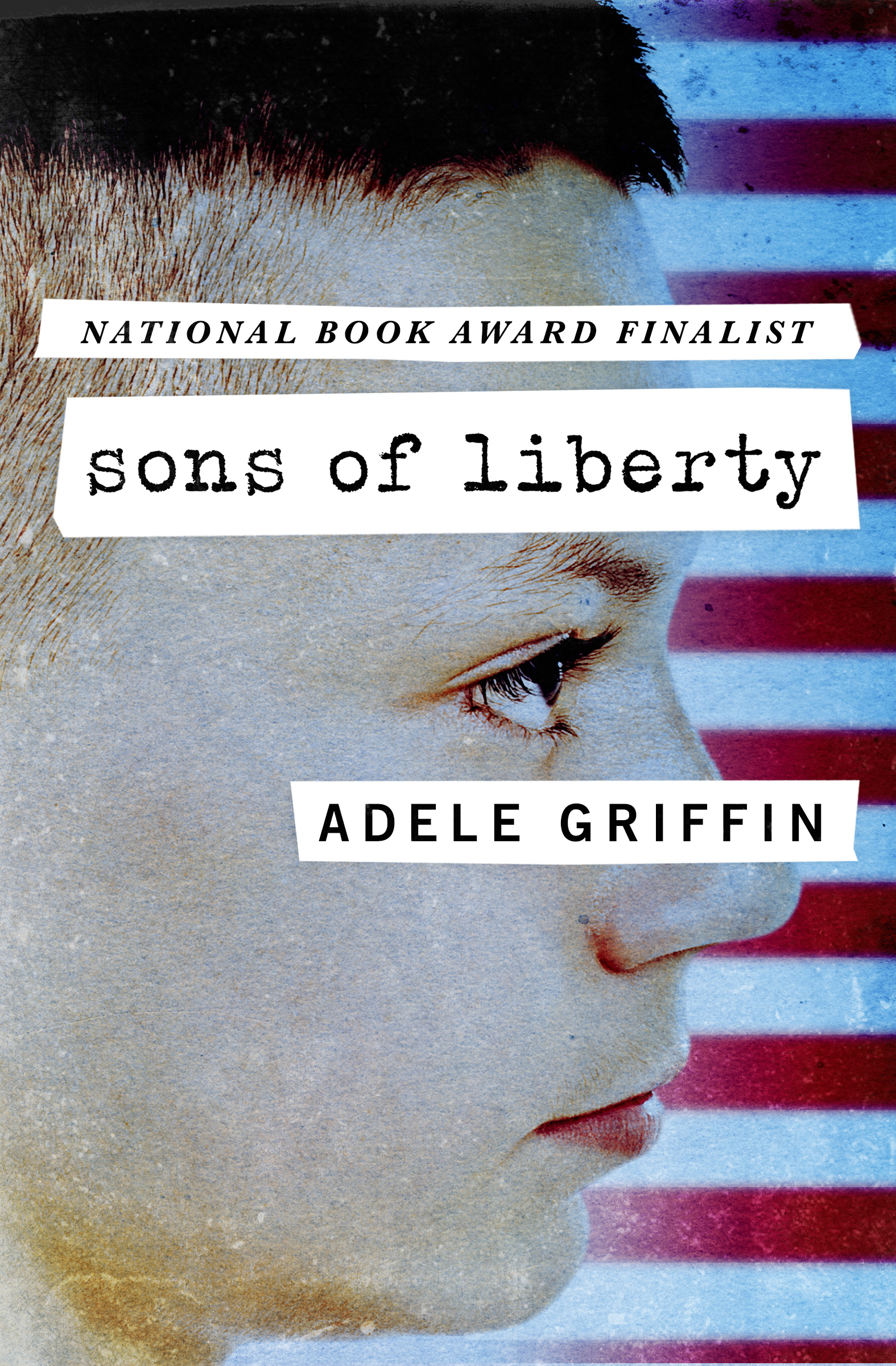 This image is the cover for the book Sons of Liberty