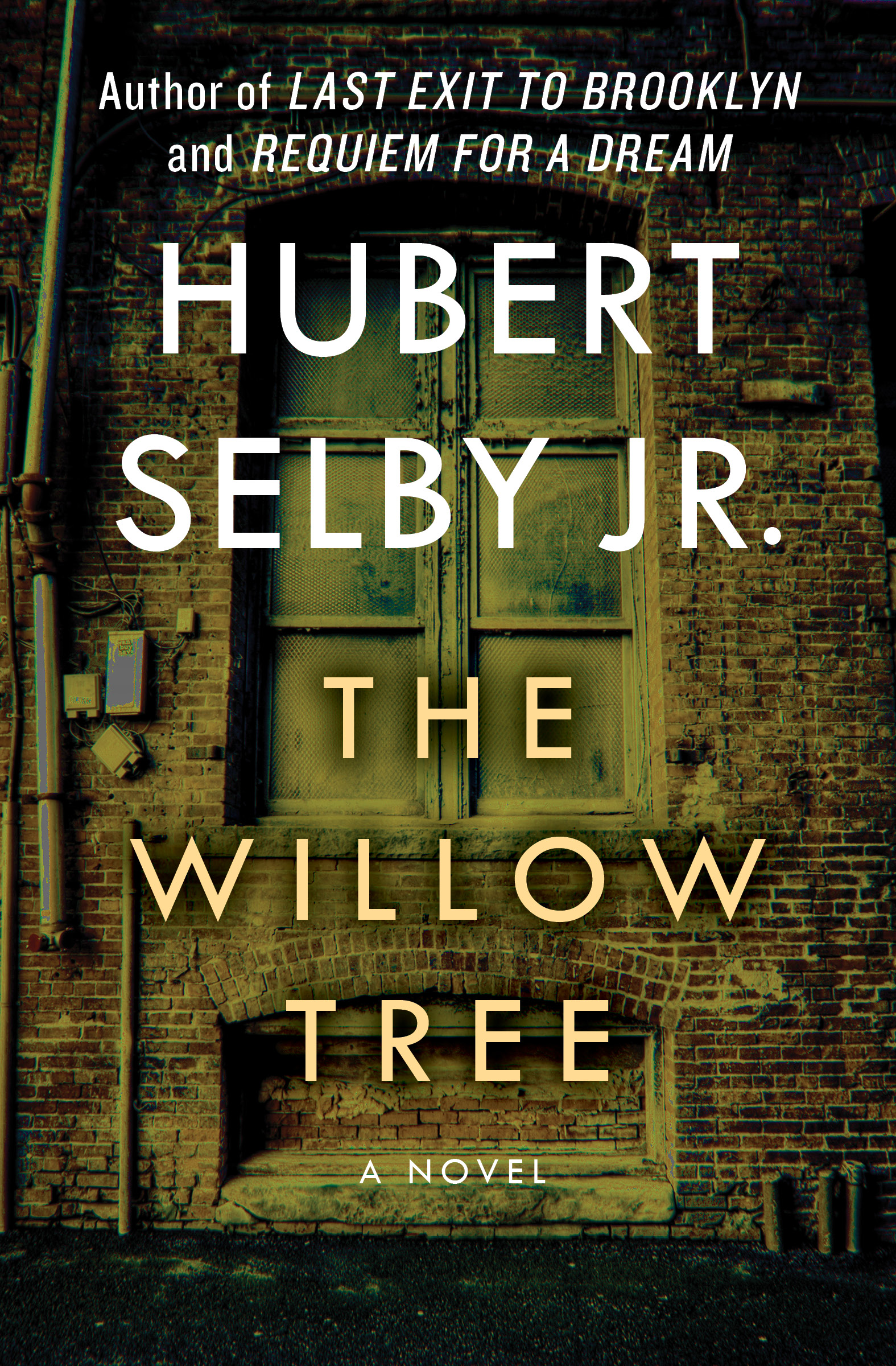This image is the cover for the book Willow Tree