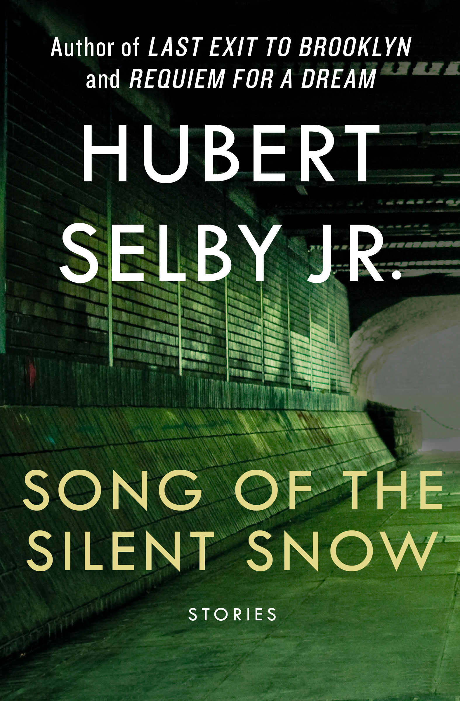This image is the cover for the book Song of the Silent Snow
