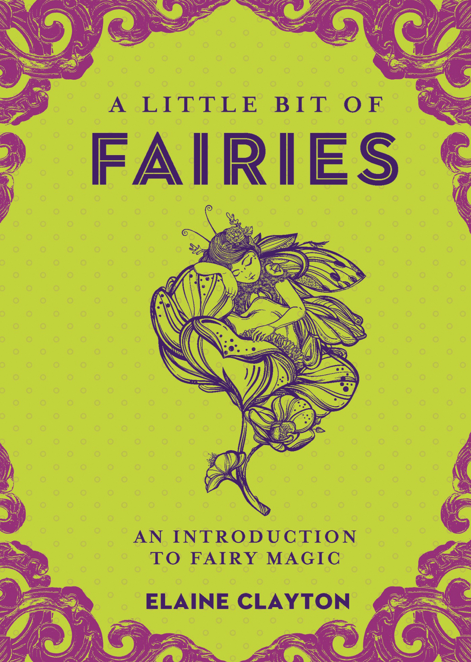 This image is the cover for the book Little Bit of Fairies, Little Bit Series