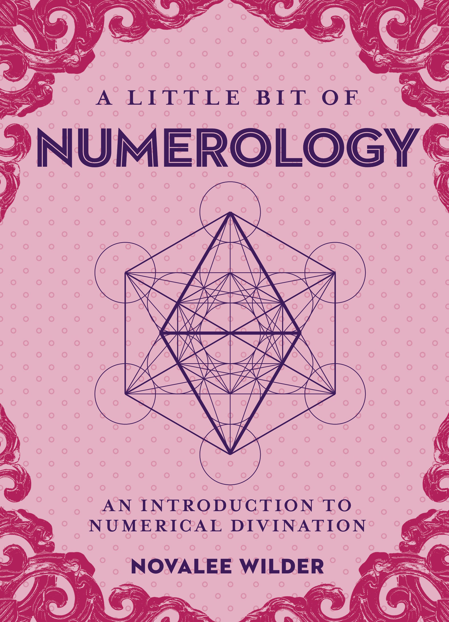 This image is the cover for the book Little Bit of Numerology, Little Bit Series