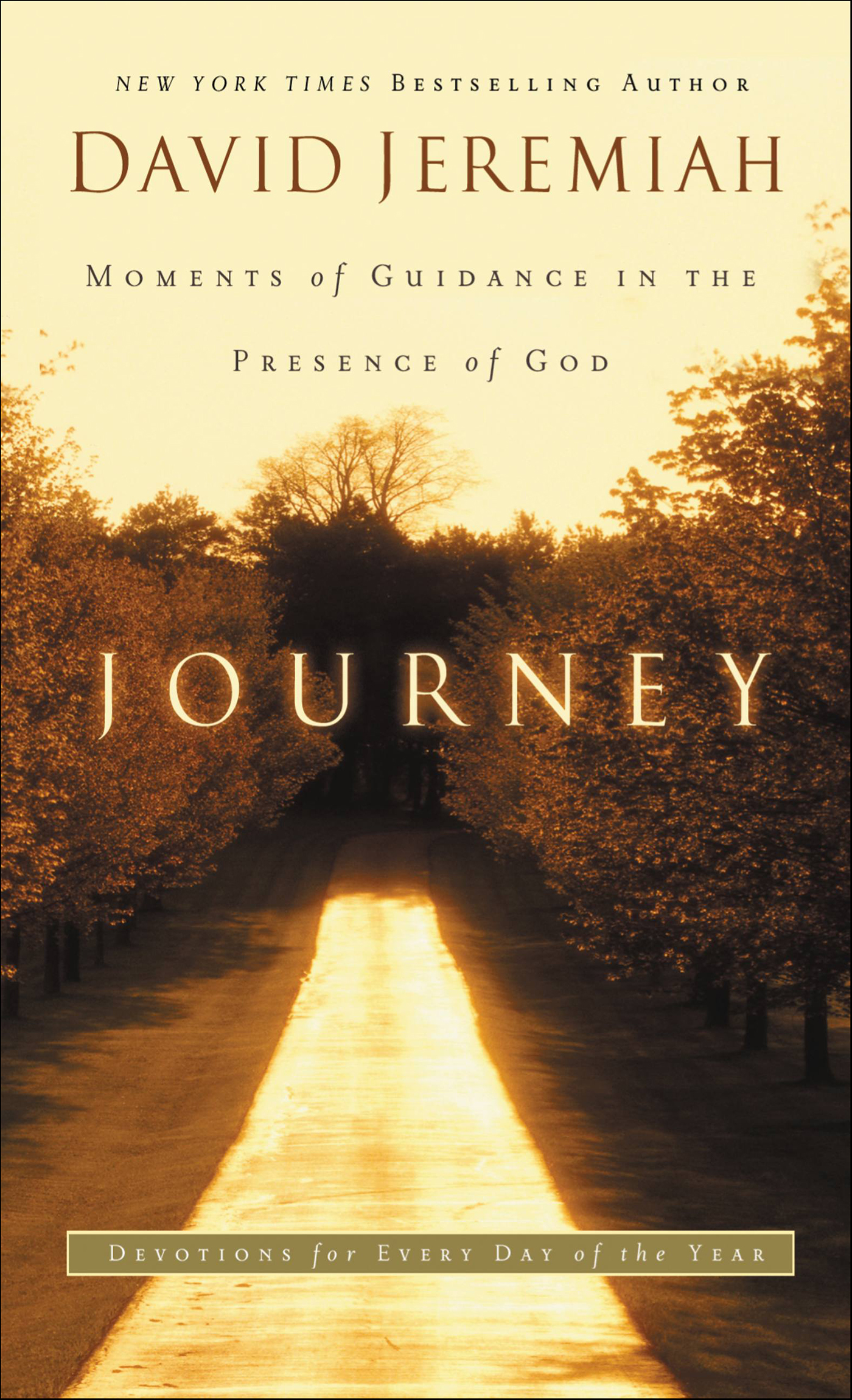This image is the cover for the book Journey