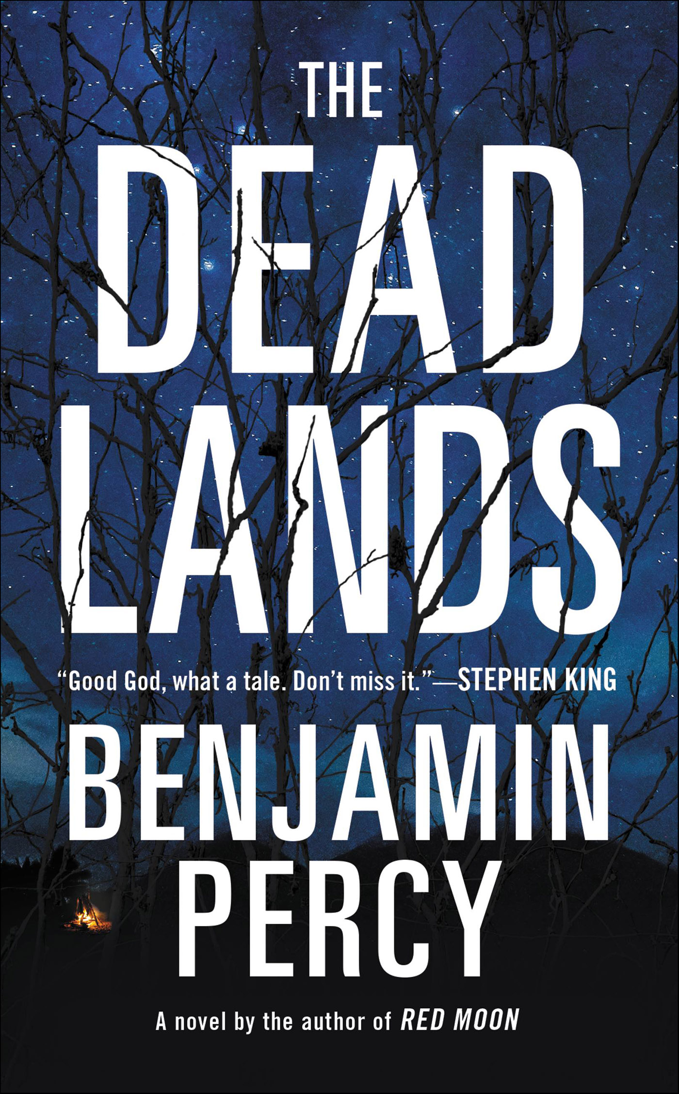 This image is the cover for the book Dead Lands