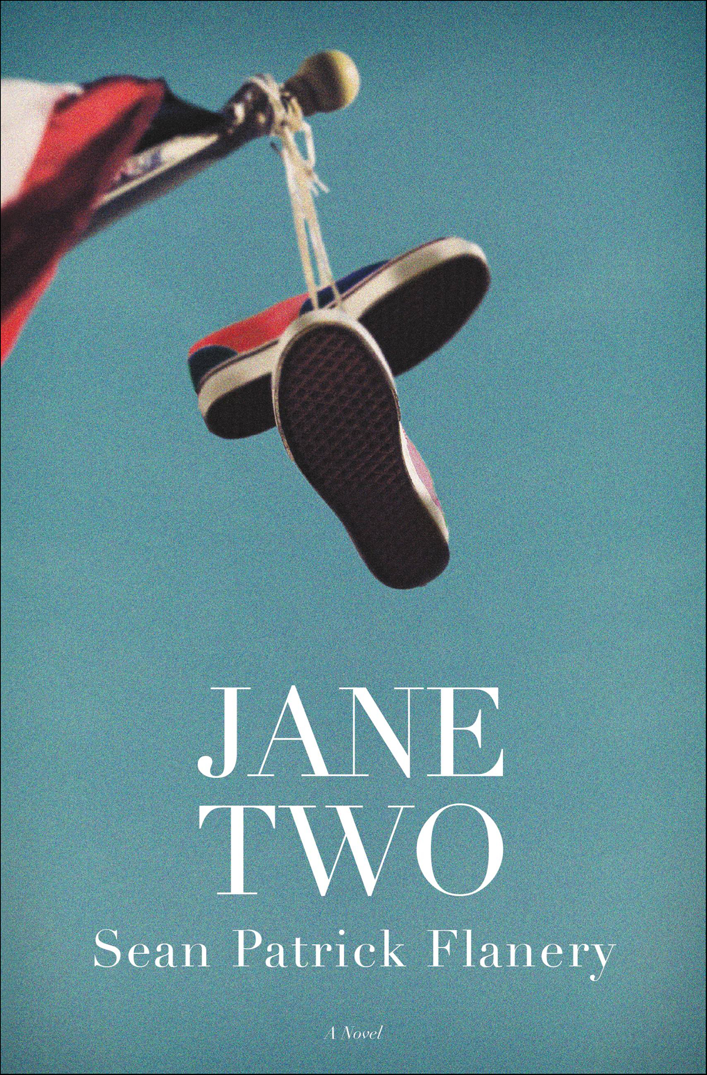 This image is the cover for the book Jane Two