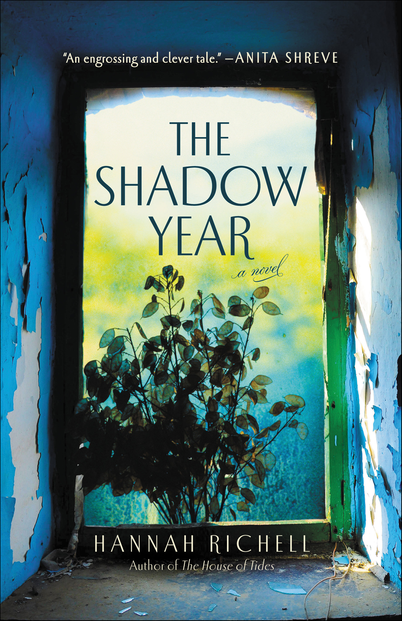 This image is the cover for the book Shadow Year