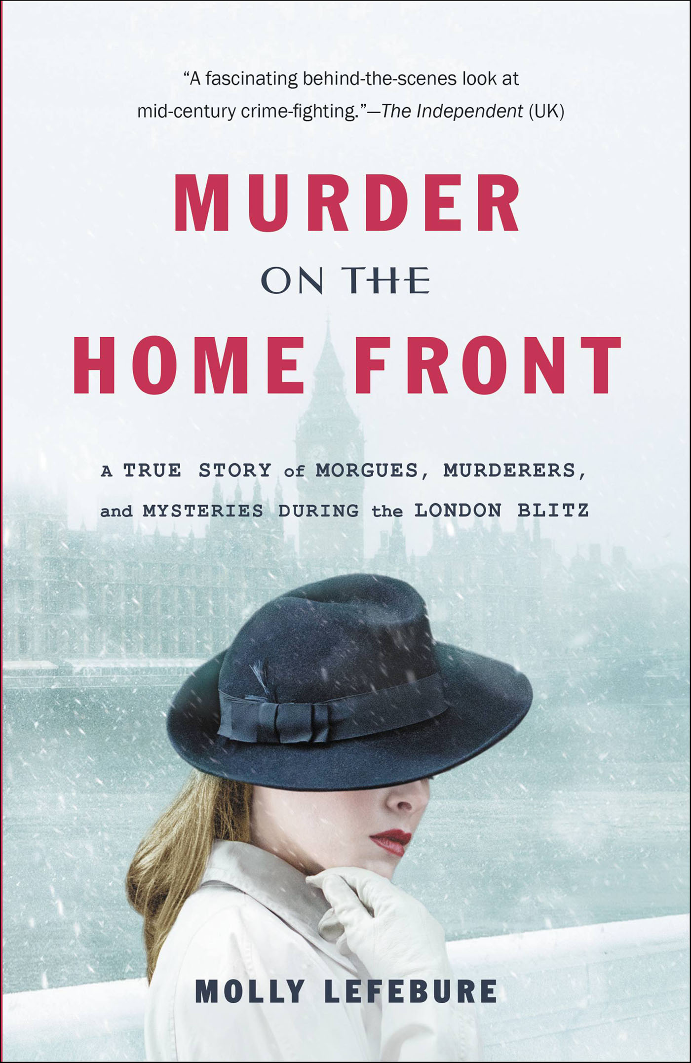 This image is the cover for the book Murder on the Home Front