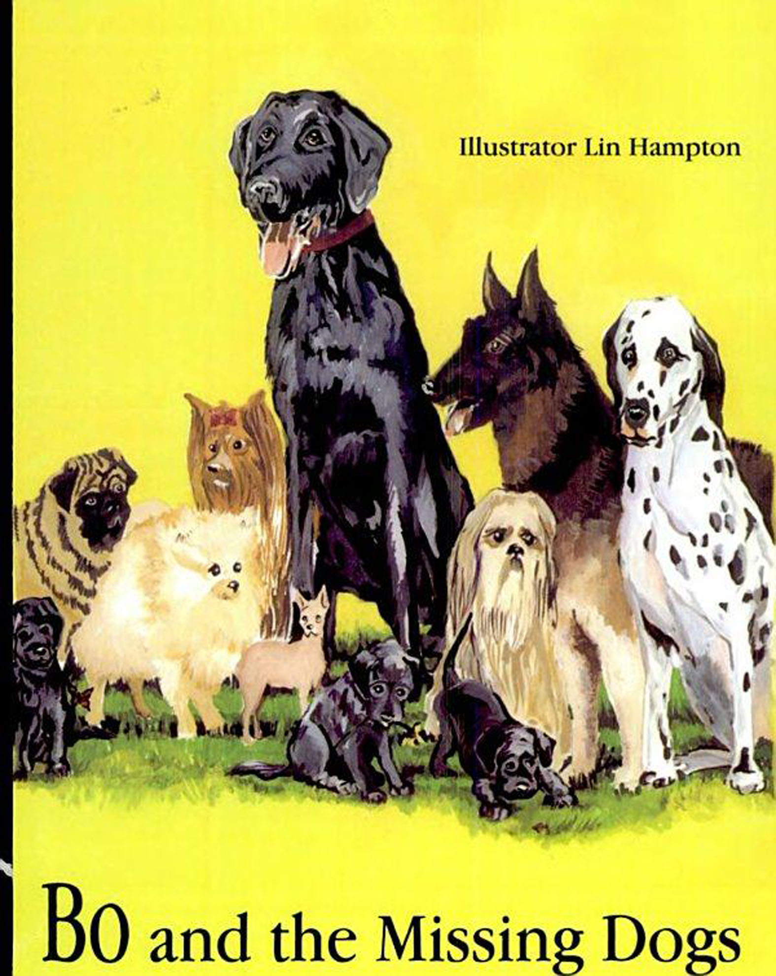 This image is the cover for the book Bo and the Missing Dogs, The Bo Series