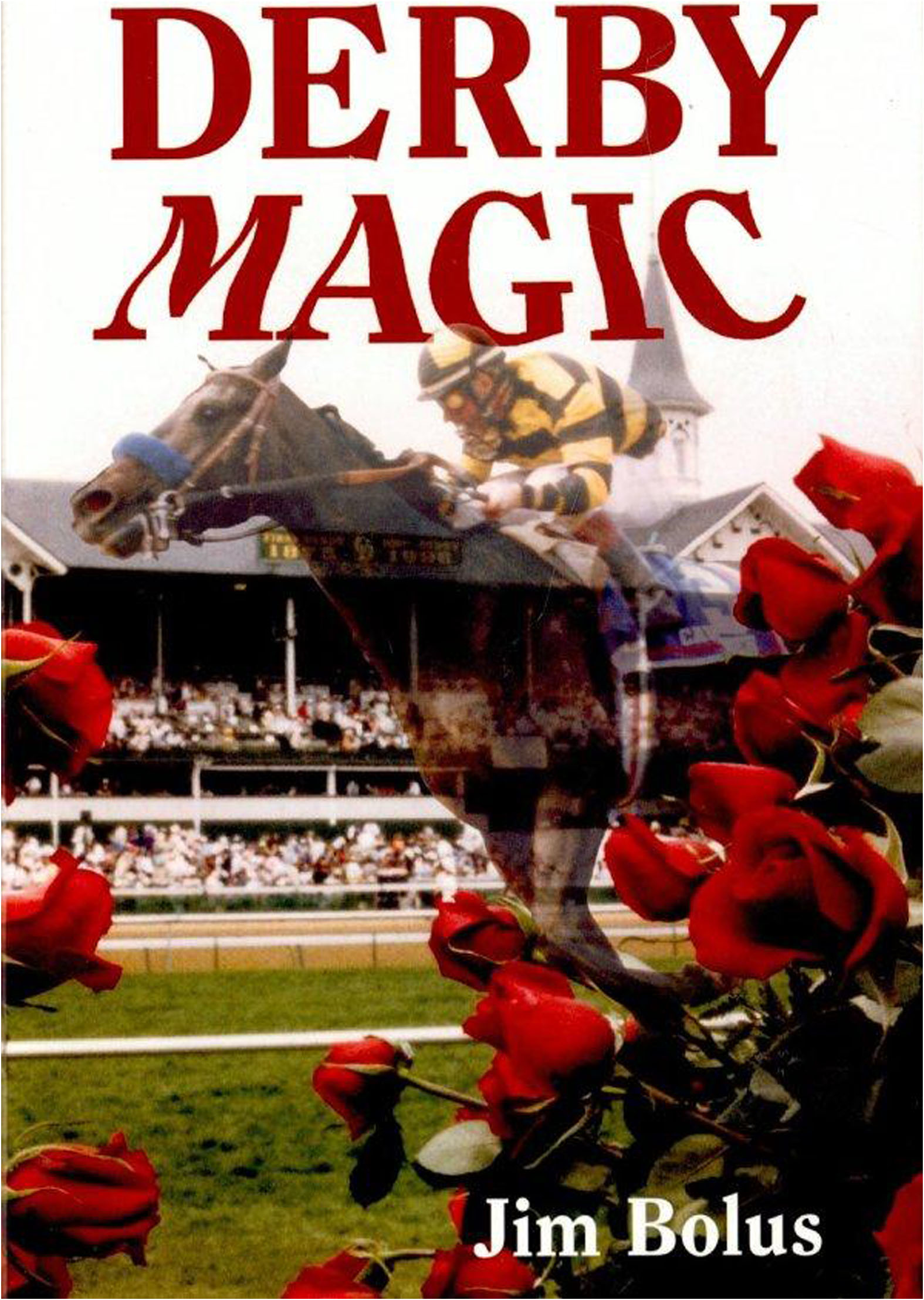This image is the cover for the book Derby Magic, Bolus Derby Series