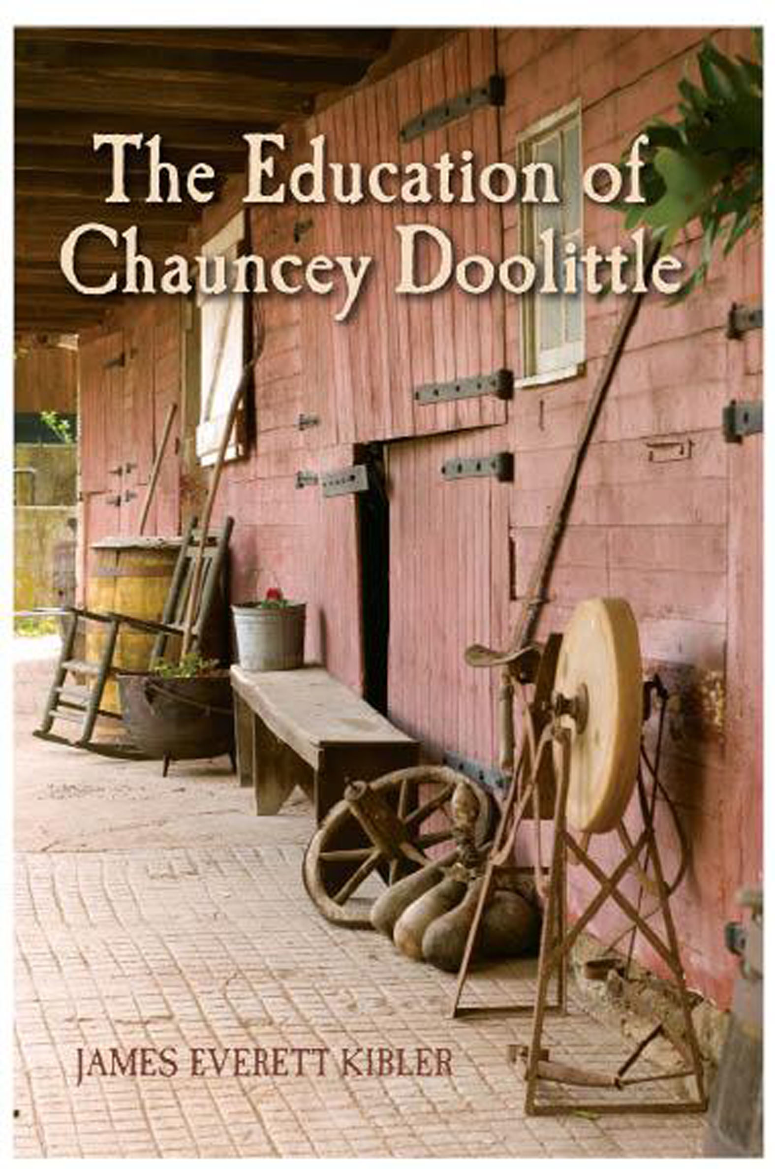 This image is the cover for the book Education of Chauncey Doolittle, Clay Bank County