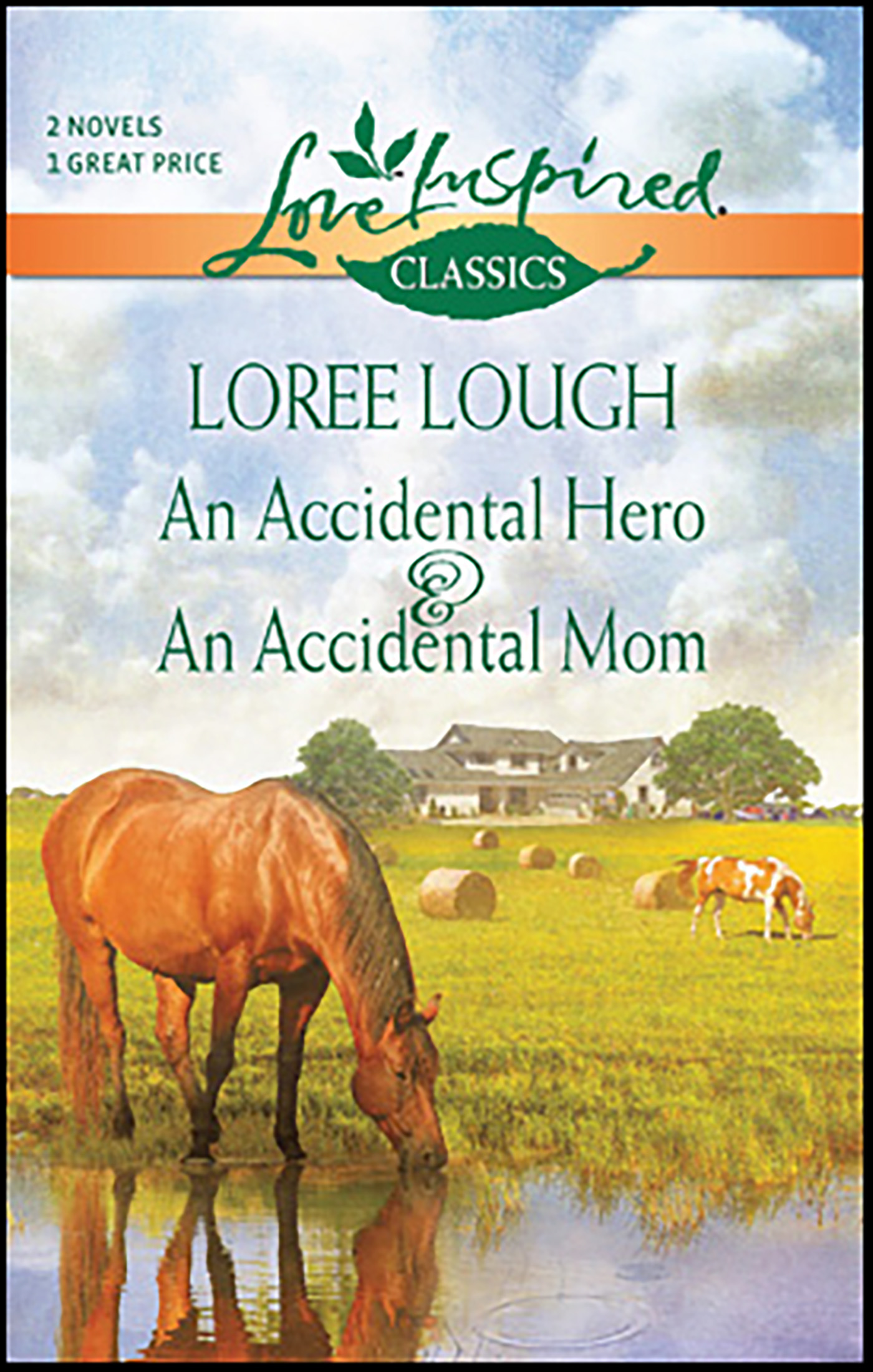 This image is the cover for the book Accidental Hero & An Accidental Mom