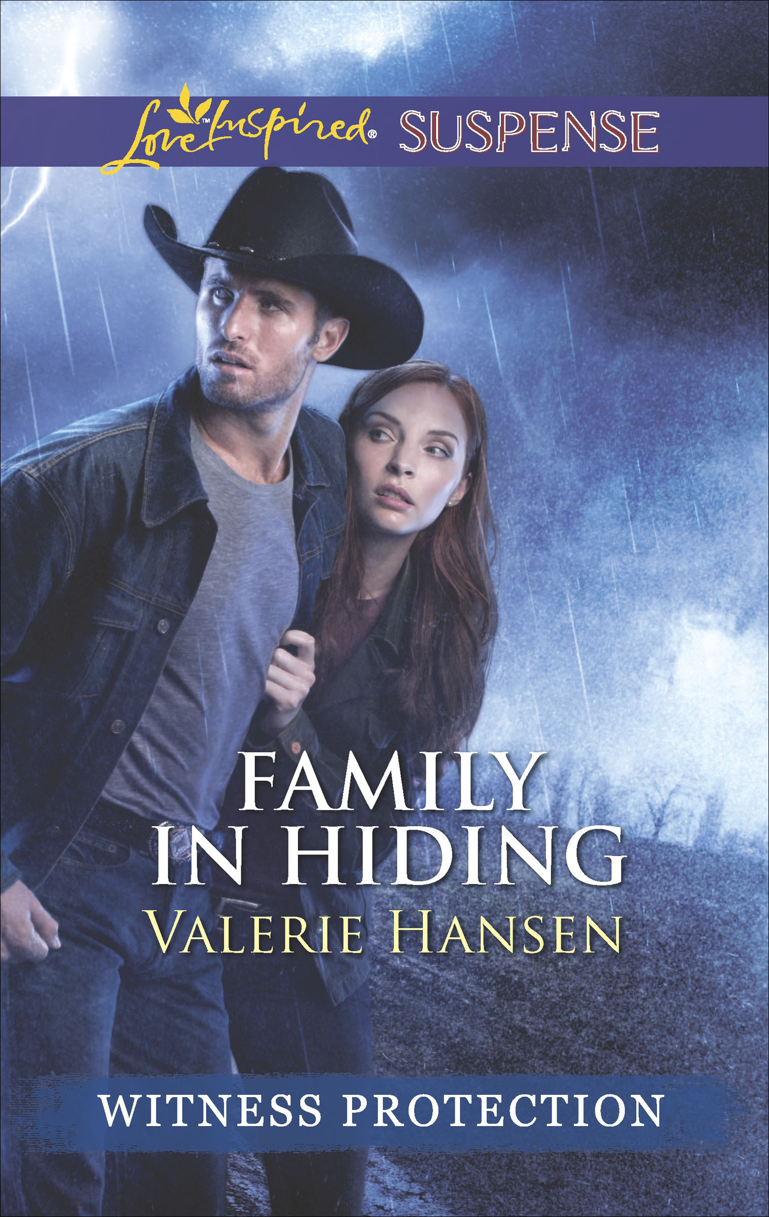 This image is the cover for the book Family in Hiding, Witness Protection