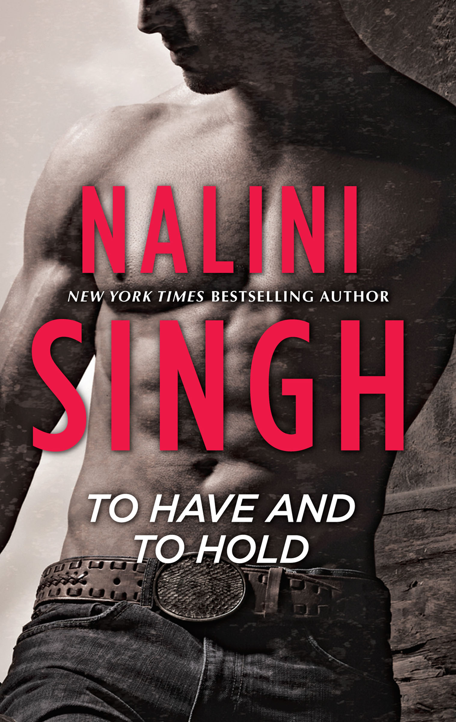 This image is the cover for the book To Have and to Hold