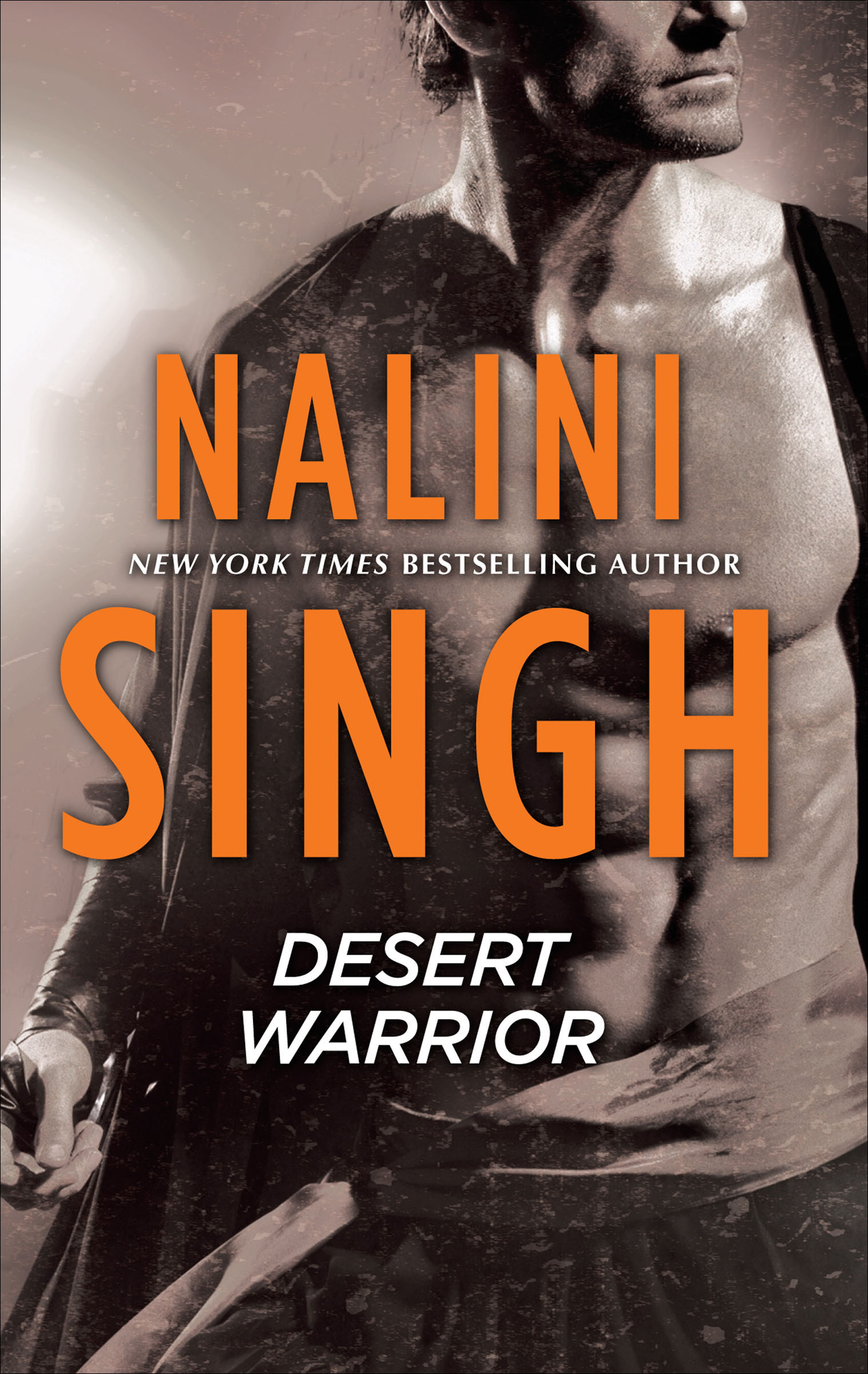 This image is the cover for the book Desert Warrior