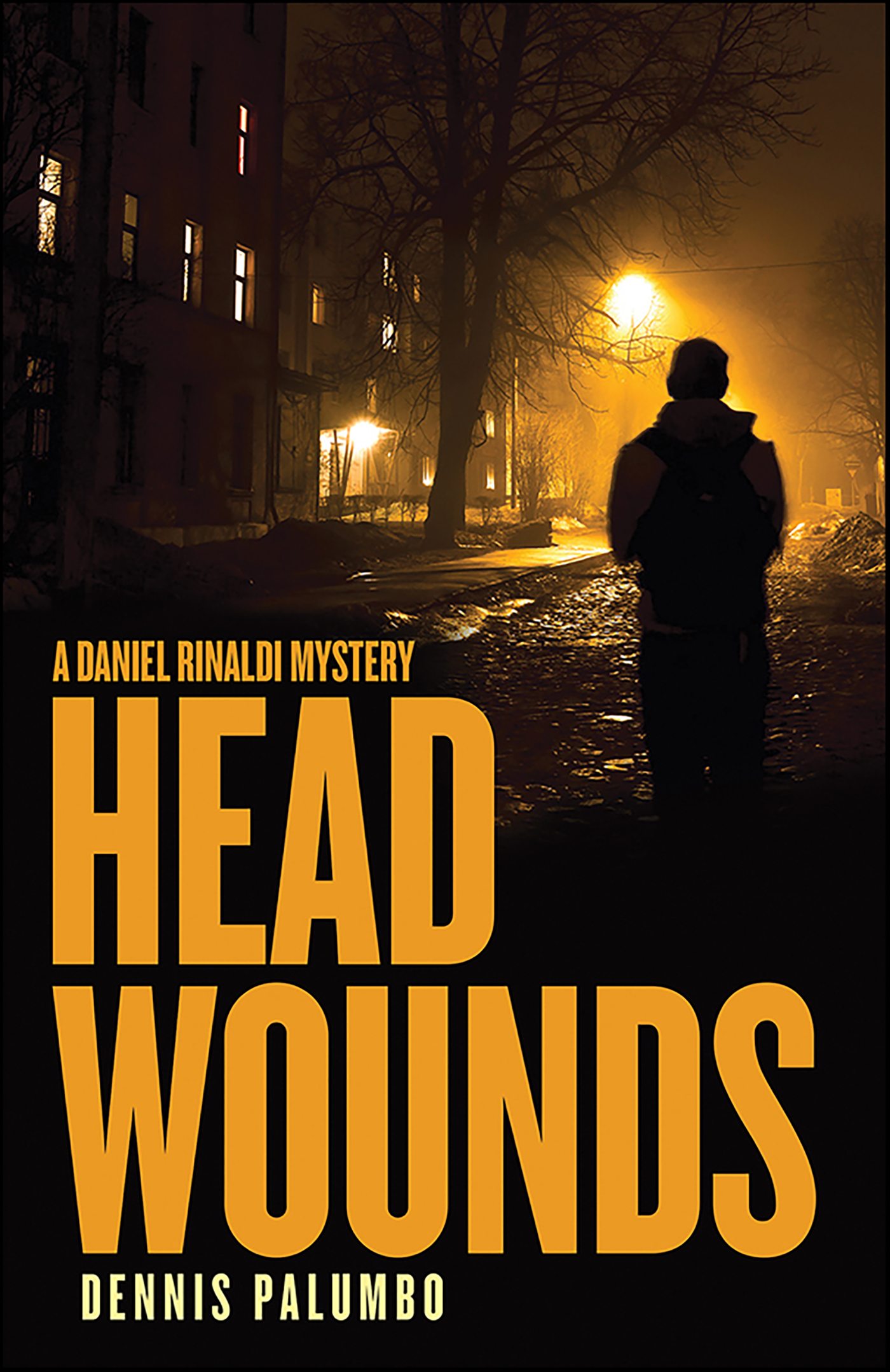 This image is the cover for the book Head Wounds, Daniel Rinaldi Thrillers