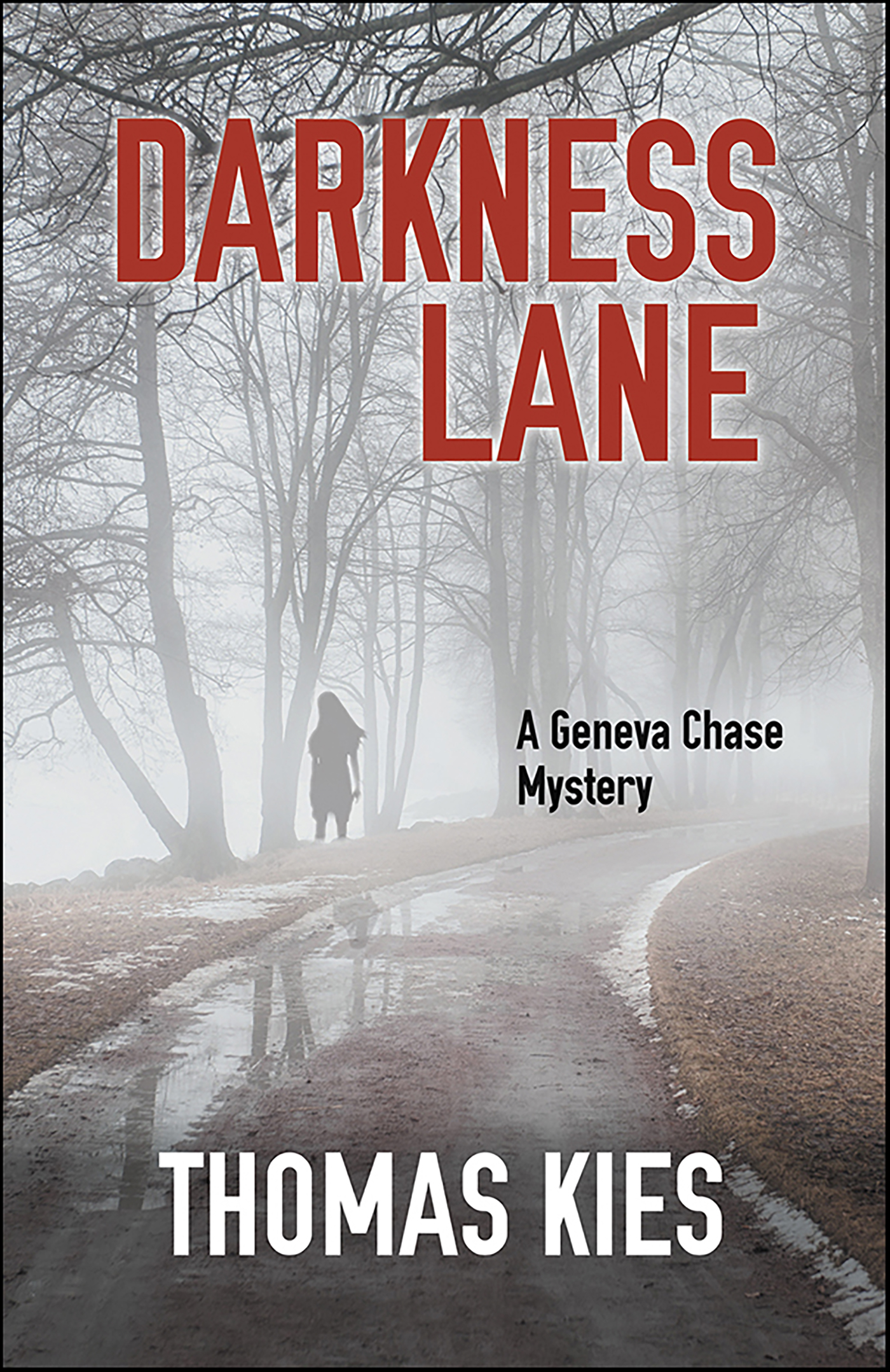 This image is the cover for the book Darkness Lane, Geneva Chase Crime Reporter Mysteries