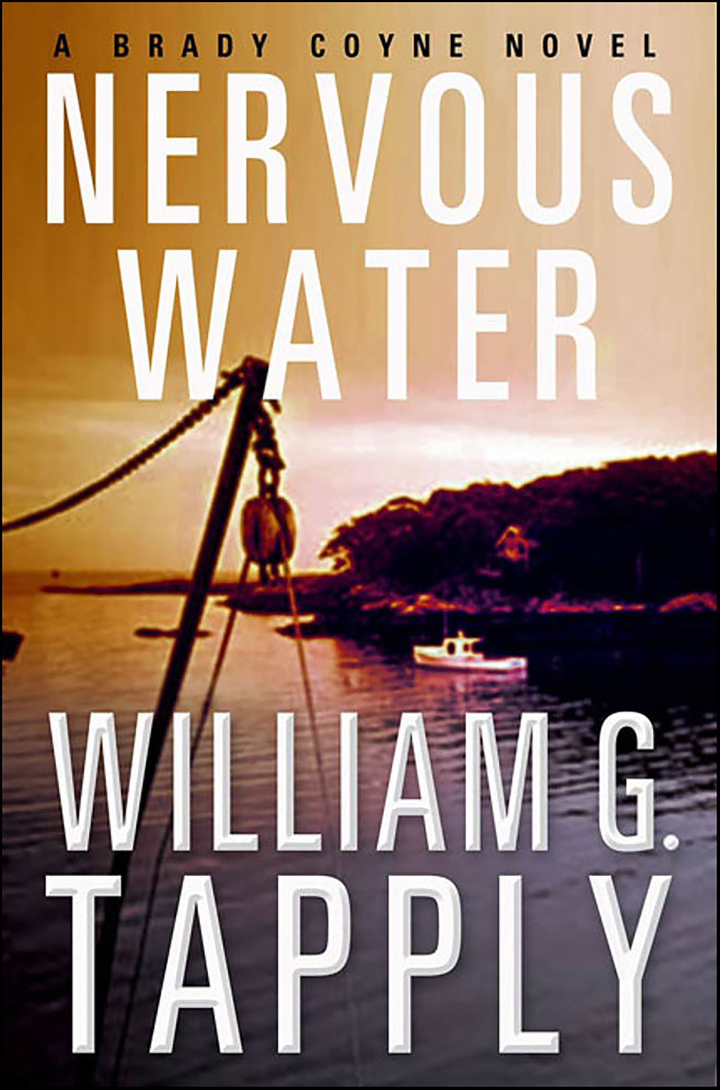 This image is the cover for the book Nervous Water, The Brady Coyne Mysteries