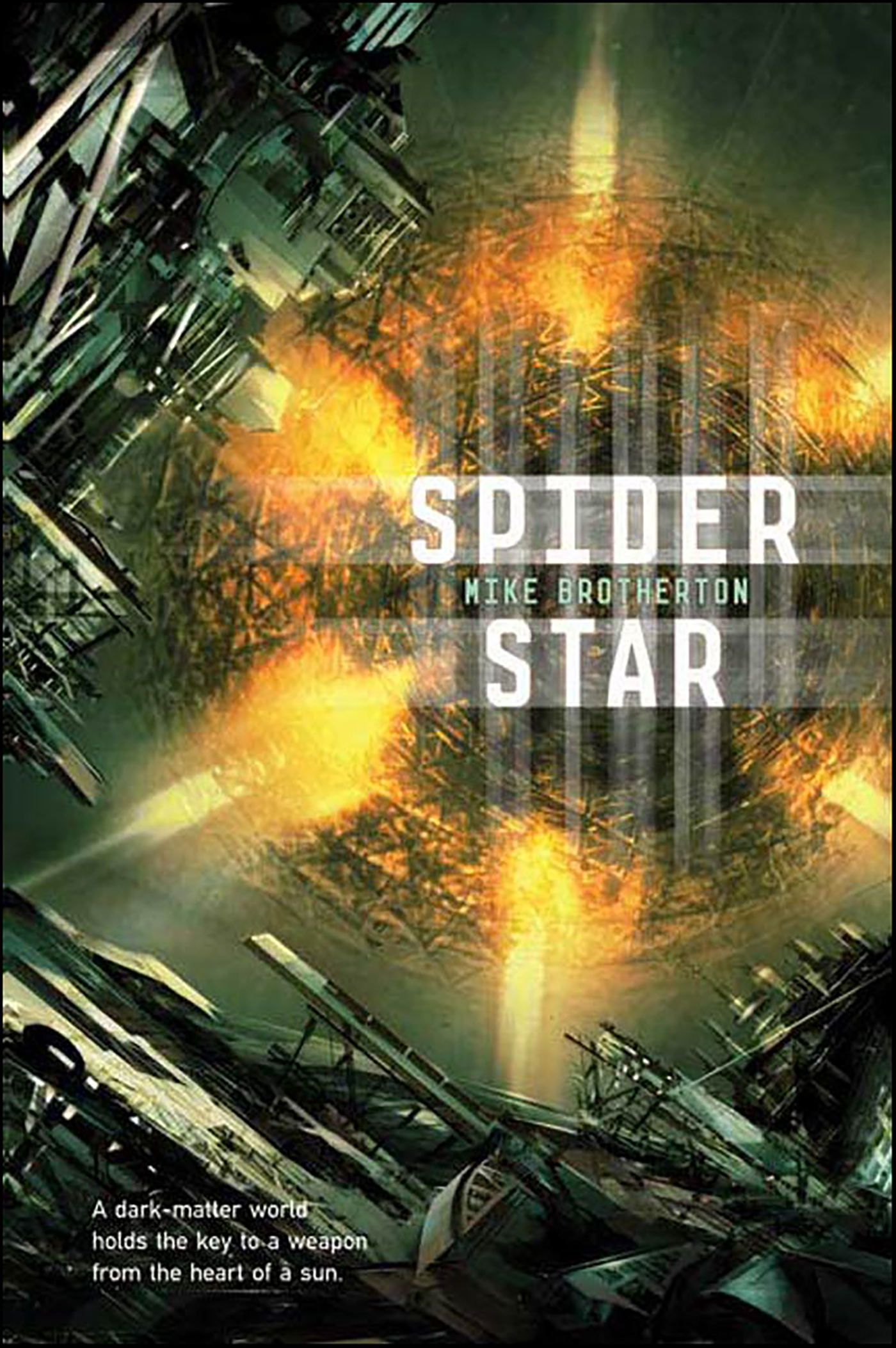 This image is the cover for the book Spider Star