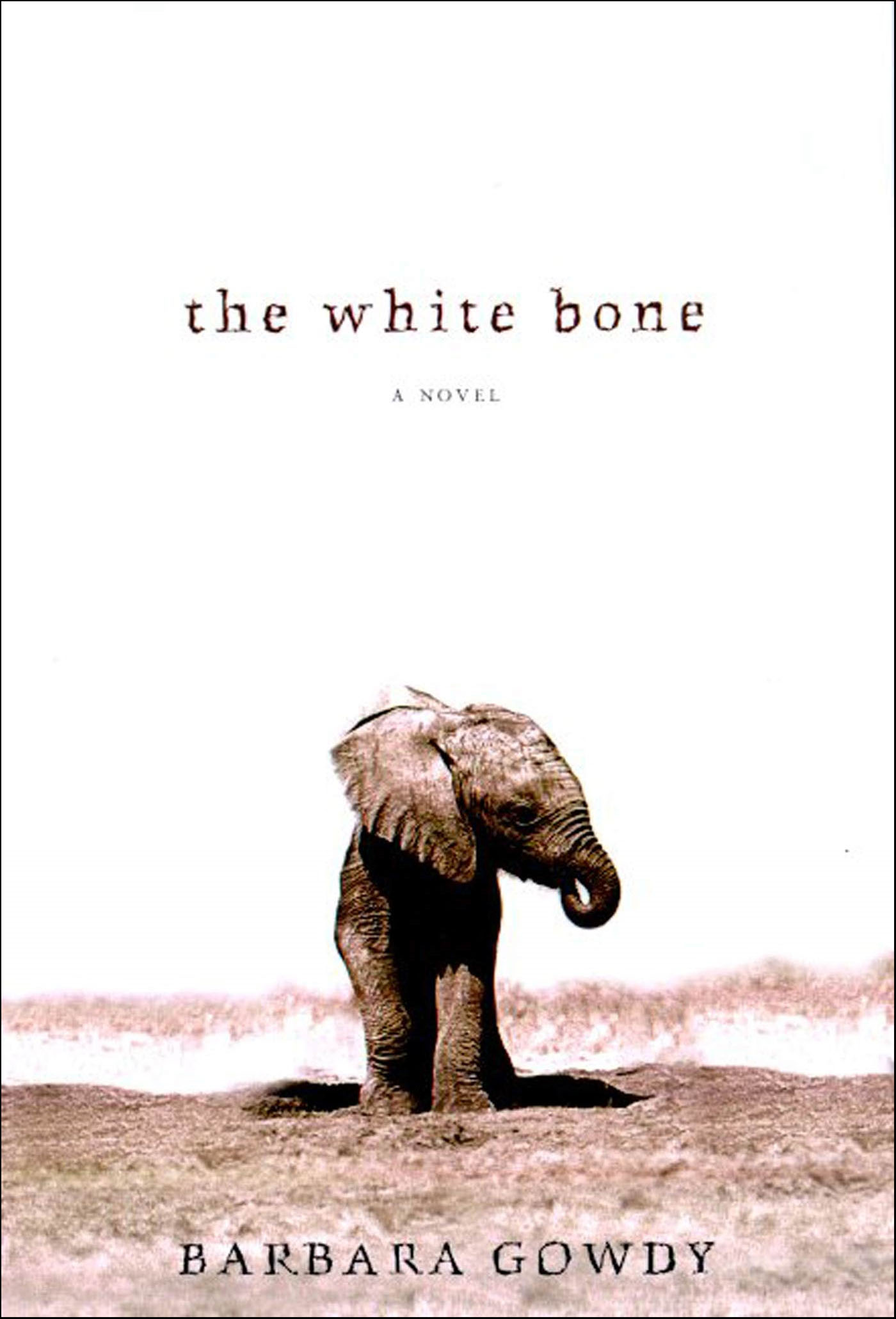 This image is the cover for the book White Bone
