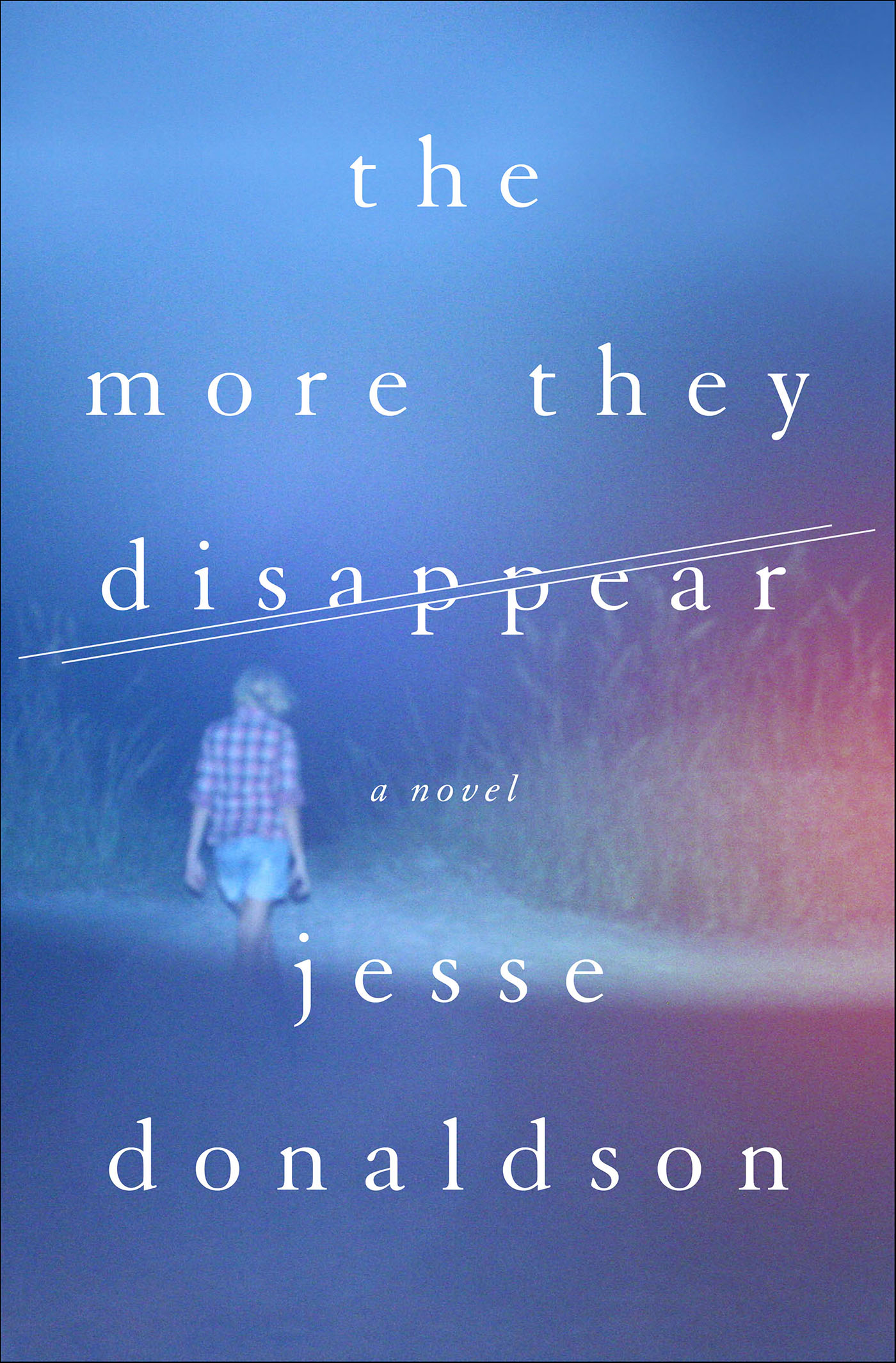 This image is the cover for the book More They Disappear