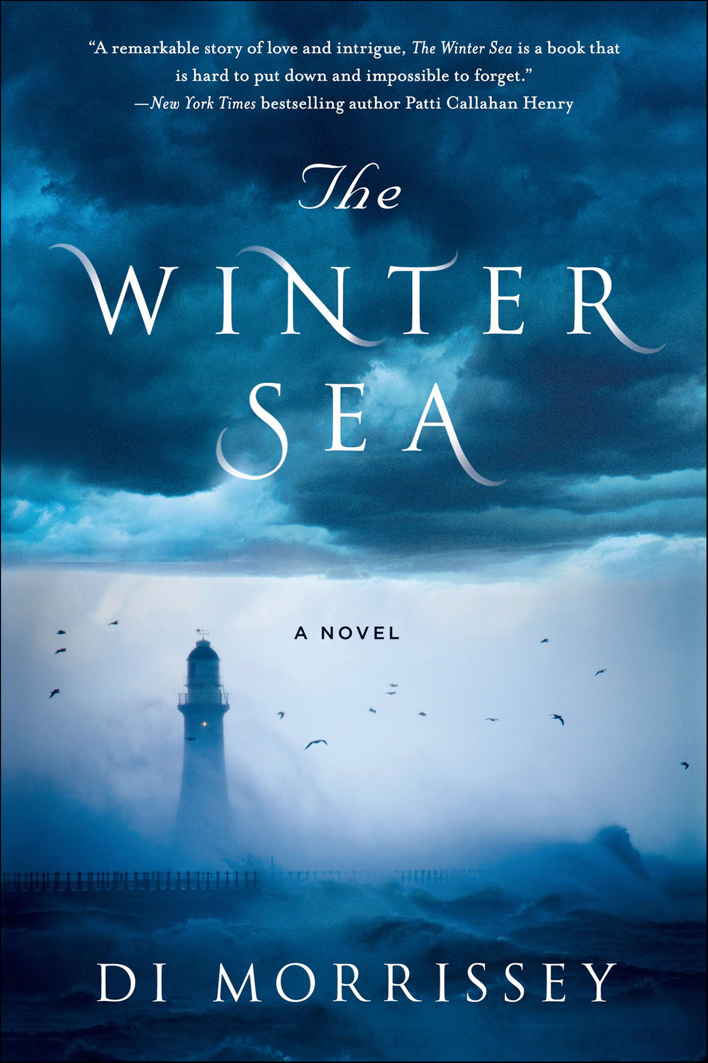 This image is the cover for the book Winter Sea