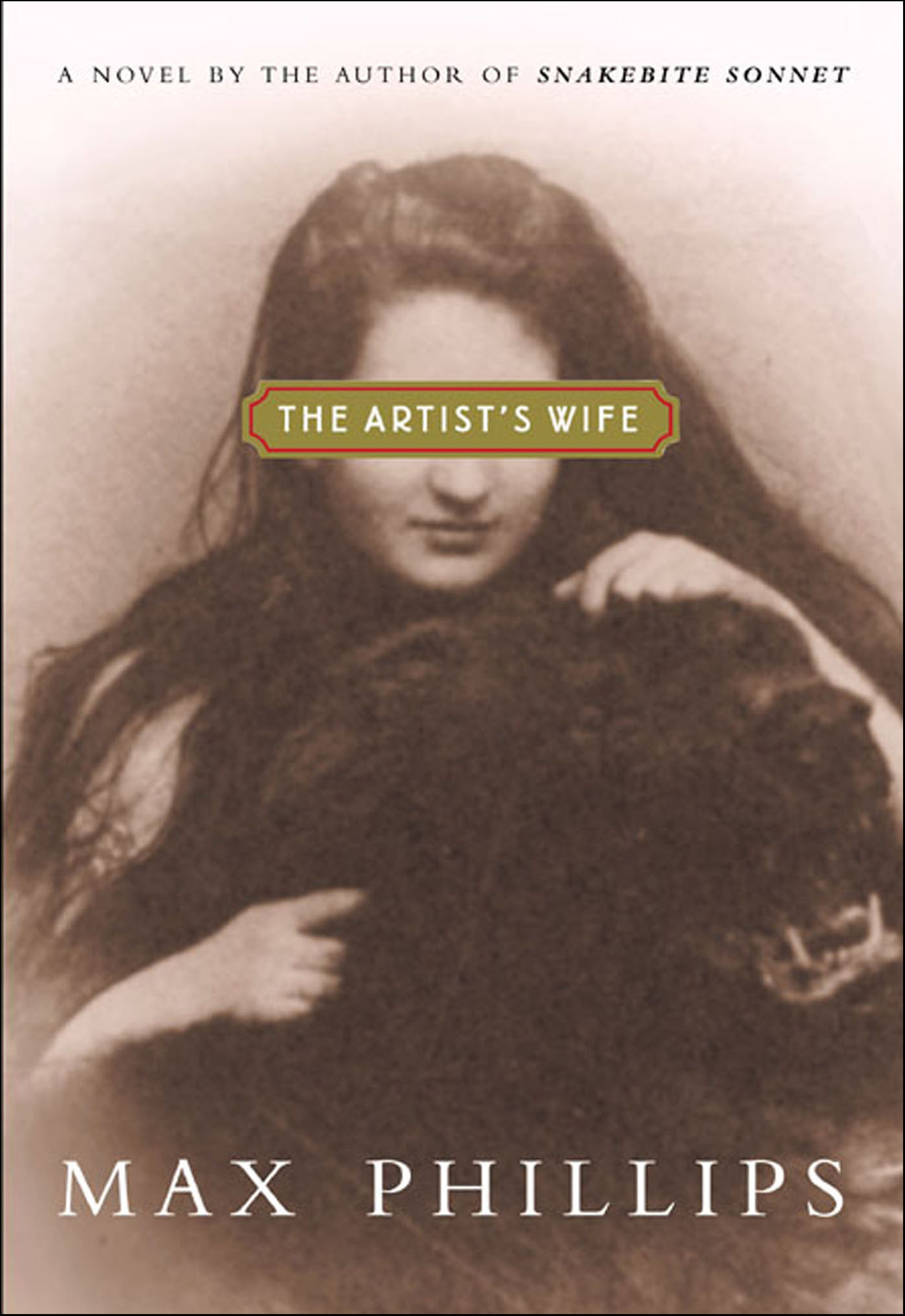 This image is the cover for the book Artist's Wife