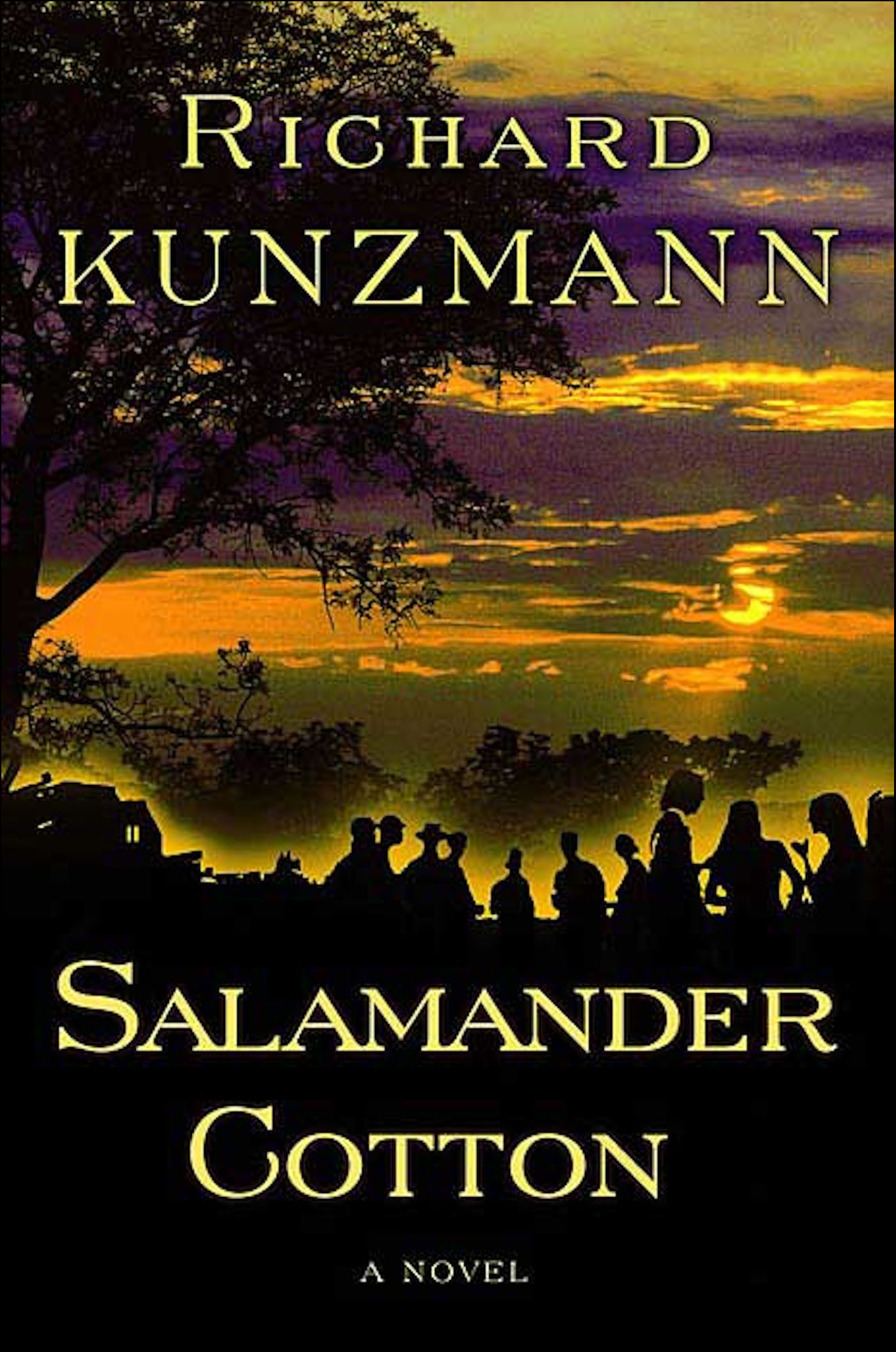This image is the cover for the book Salamander Cotton, Jacob Tshabalala