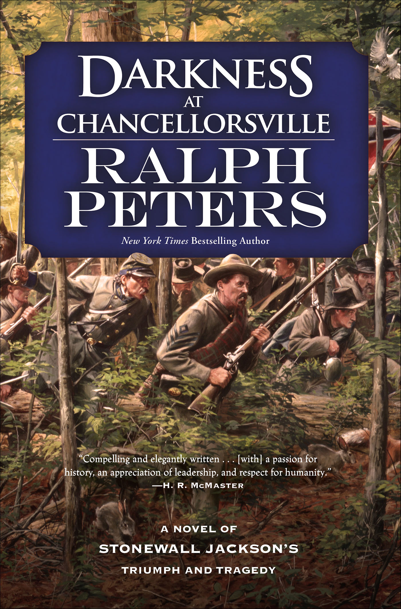 This image is the cover for the book Darkness at Chancellorsville