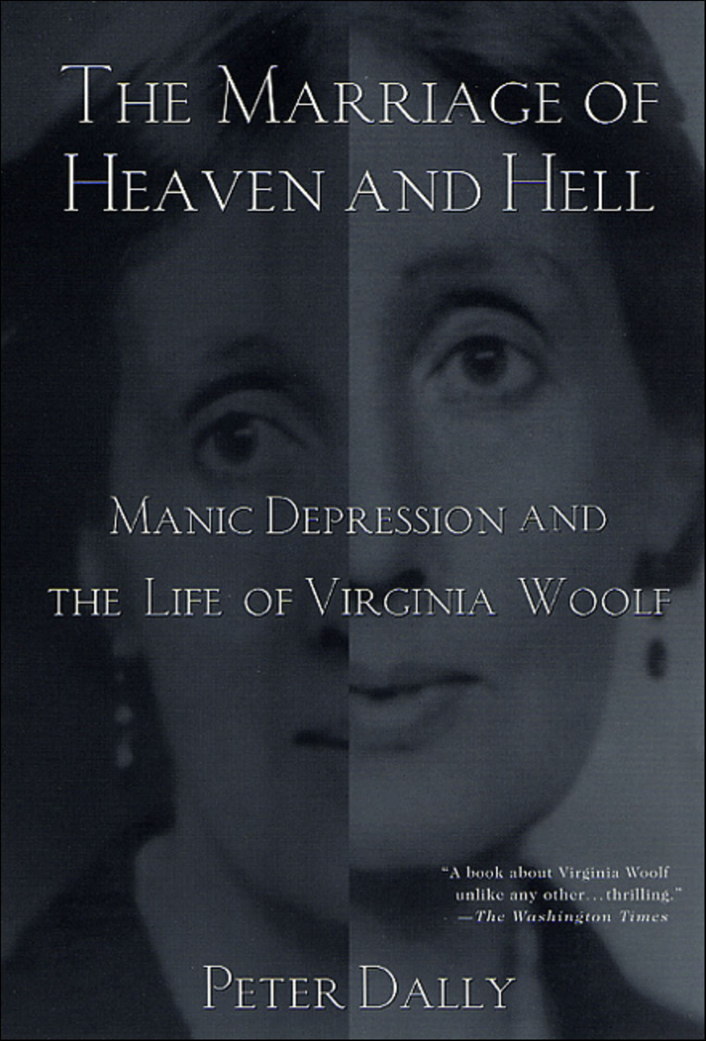 This image is the cover for the book Marriage of Heaven and Hell