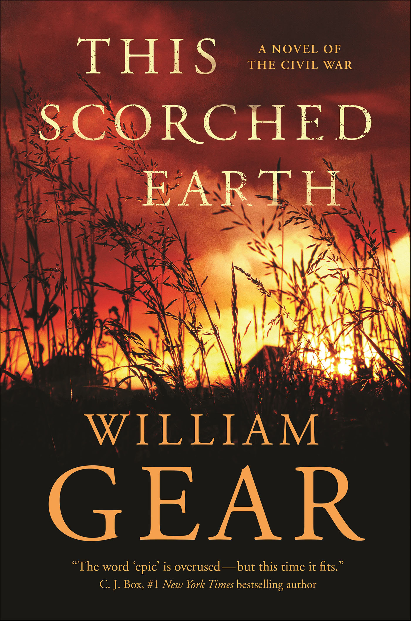 This image is the cover for the book This Scorched Earth