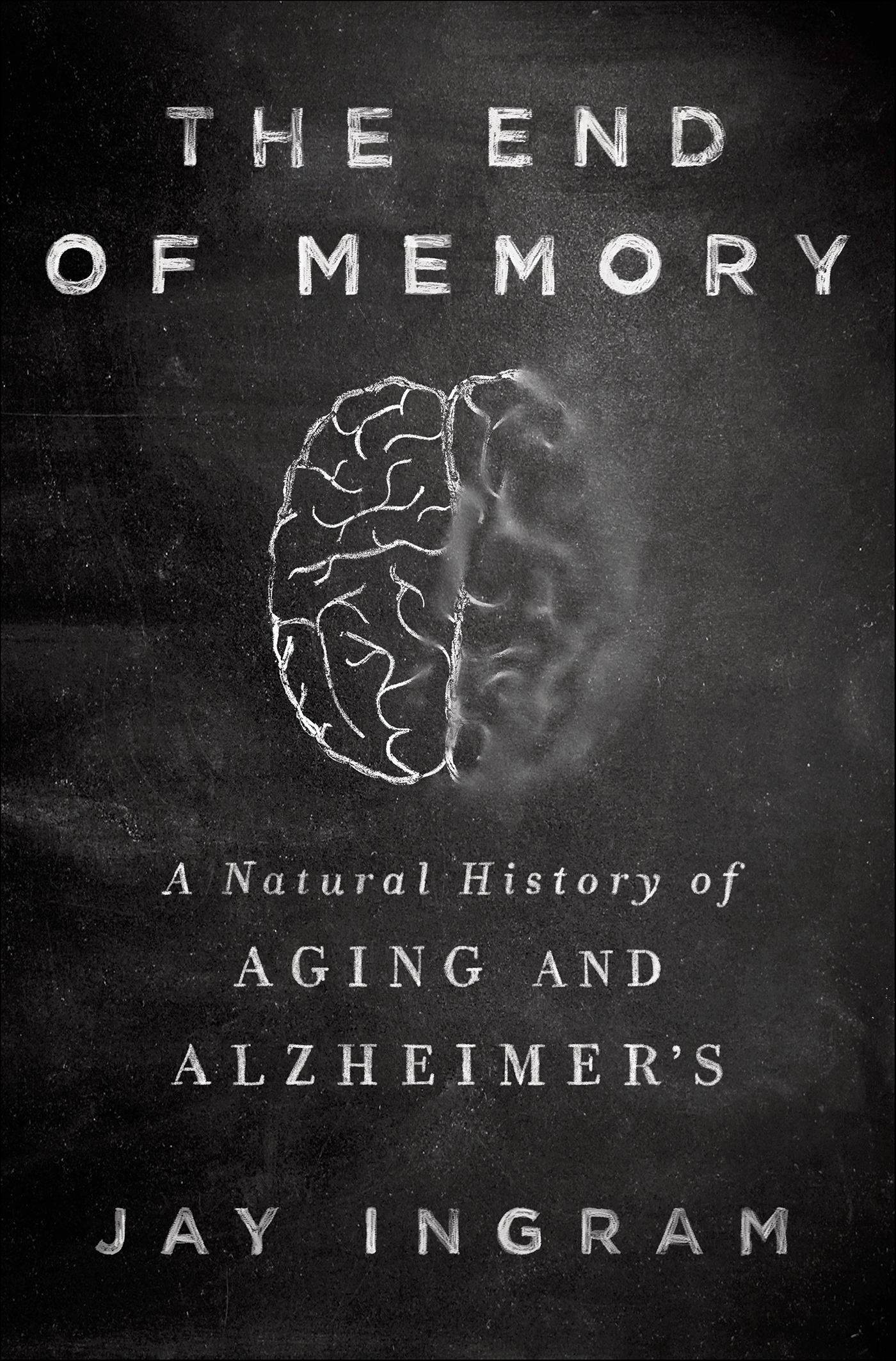 This image is the cover for the book End of Memory