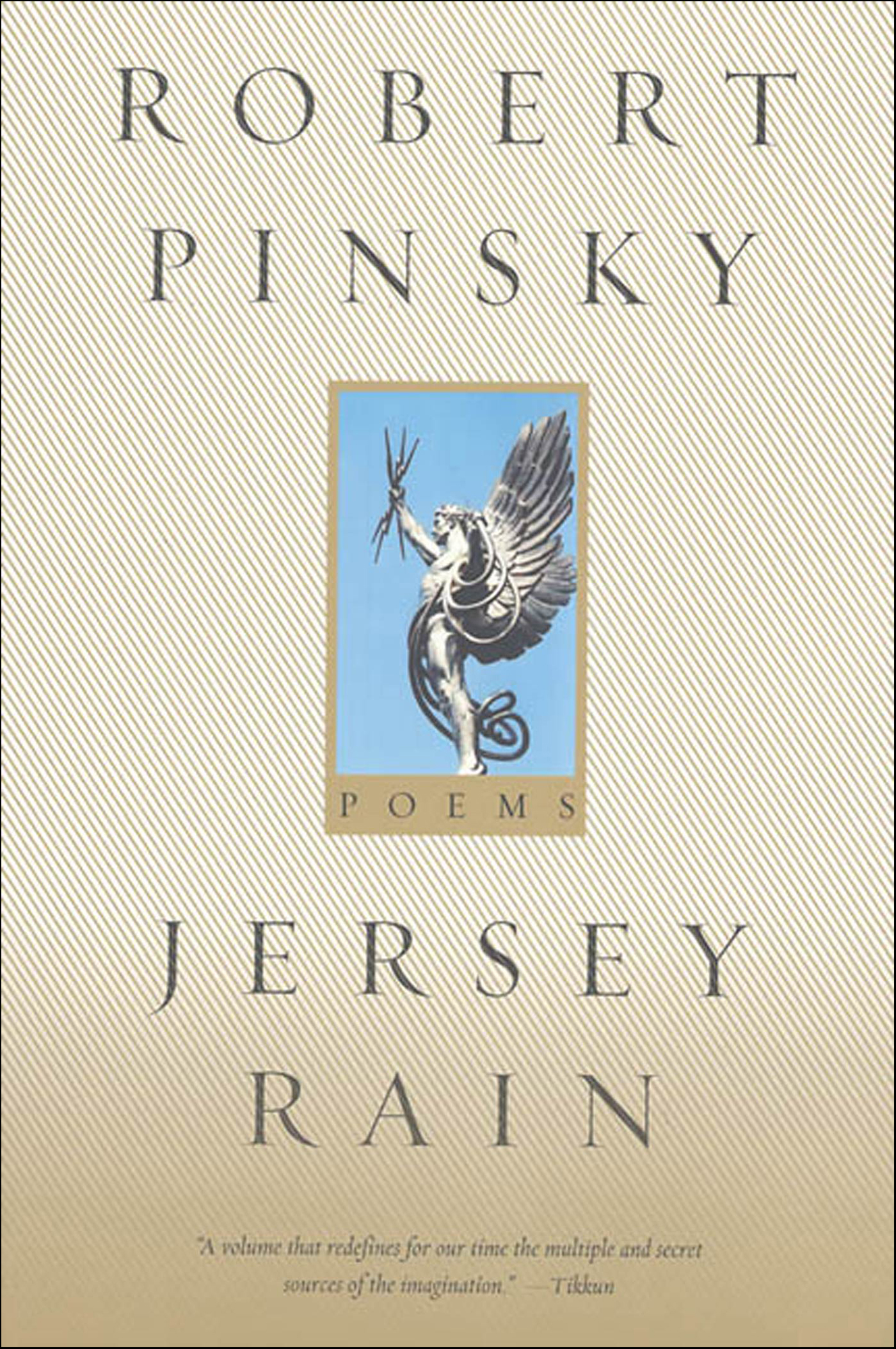 This image is the cover for the book Jersey Rain