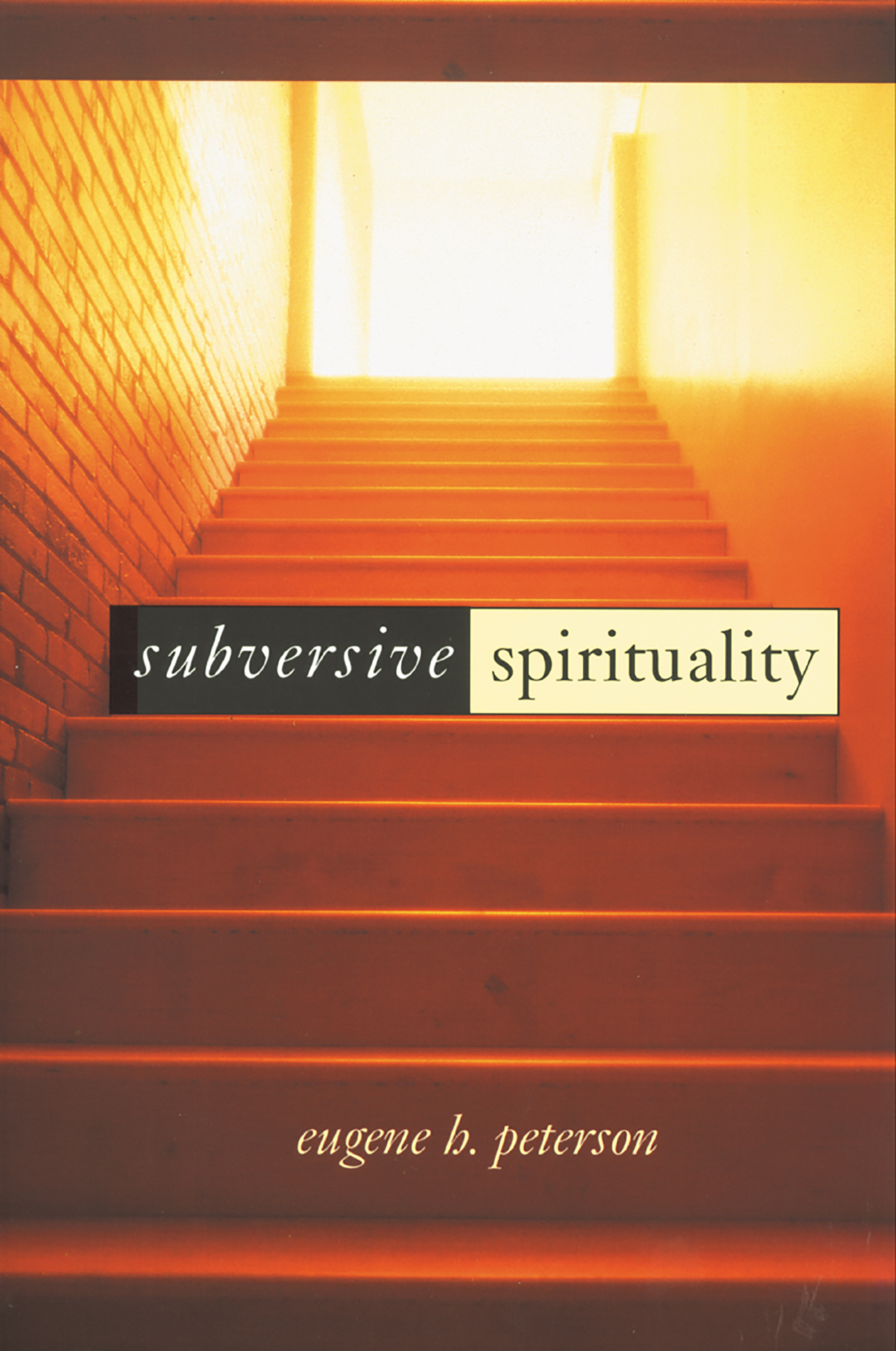 This image is the cover for the book Subversive Spirituality