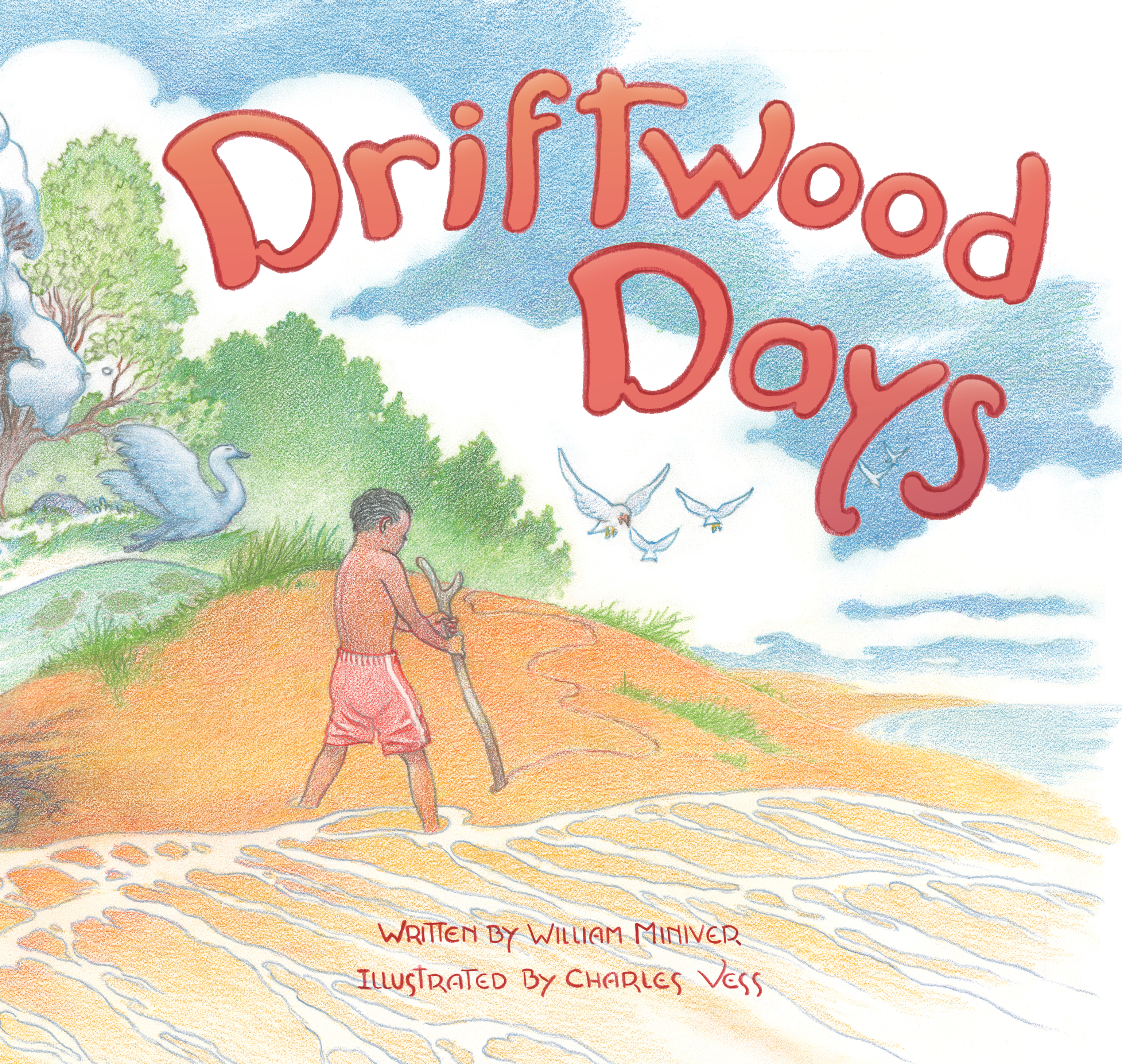 This image is the cover for the book Driftwood Days