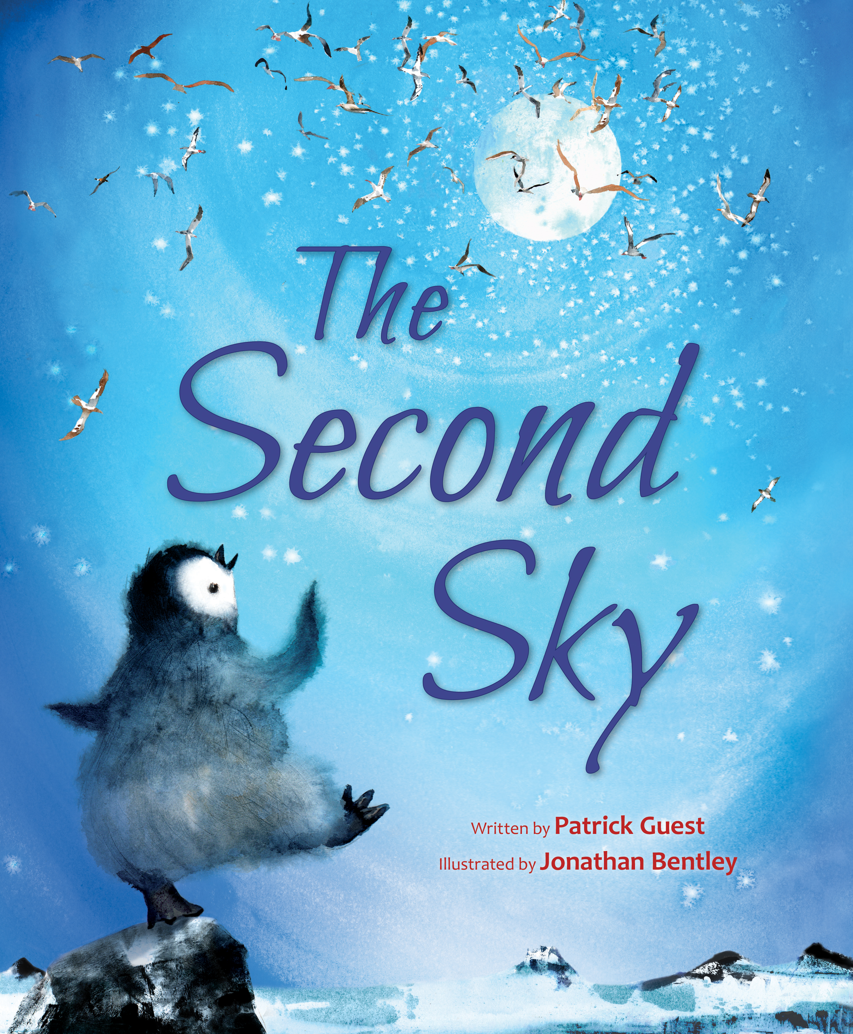 This image is the cover for the book The Second Sky