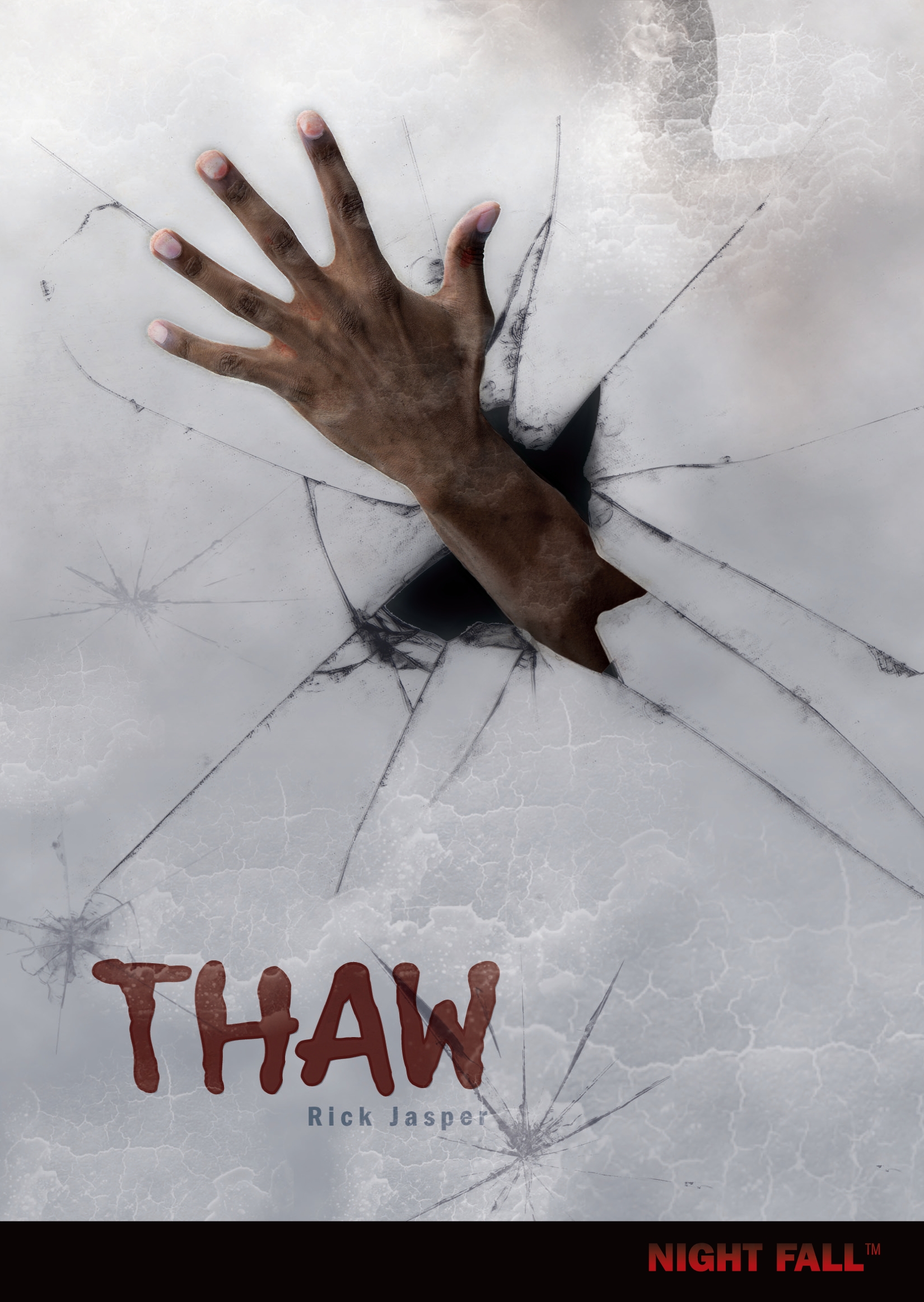 This image is the cover for the book Thaw, Night Fall