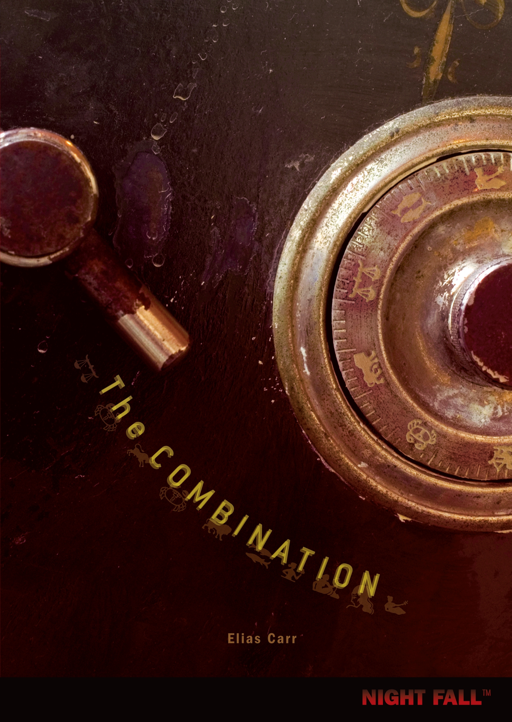 This image is the cover for the book Combination, Night Fall ™