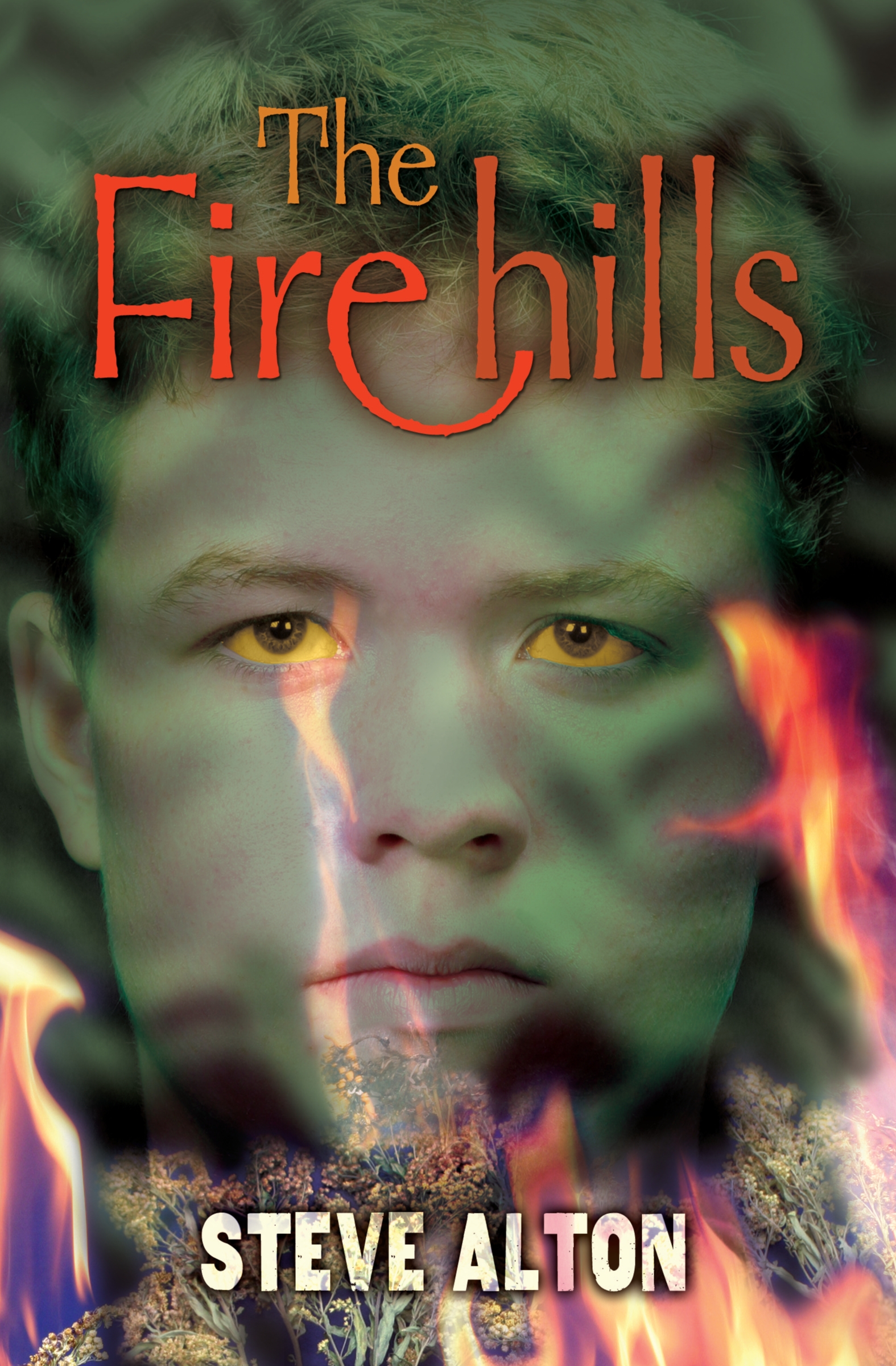 This image is the cover for the book Firehills