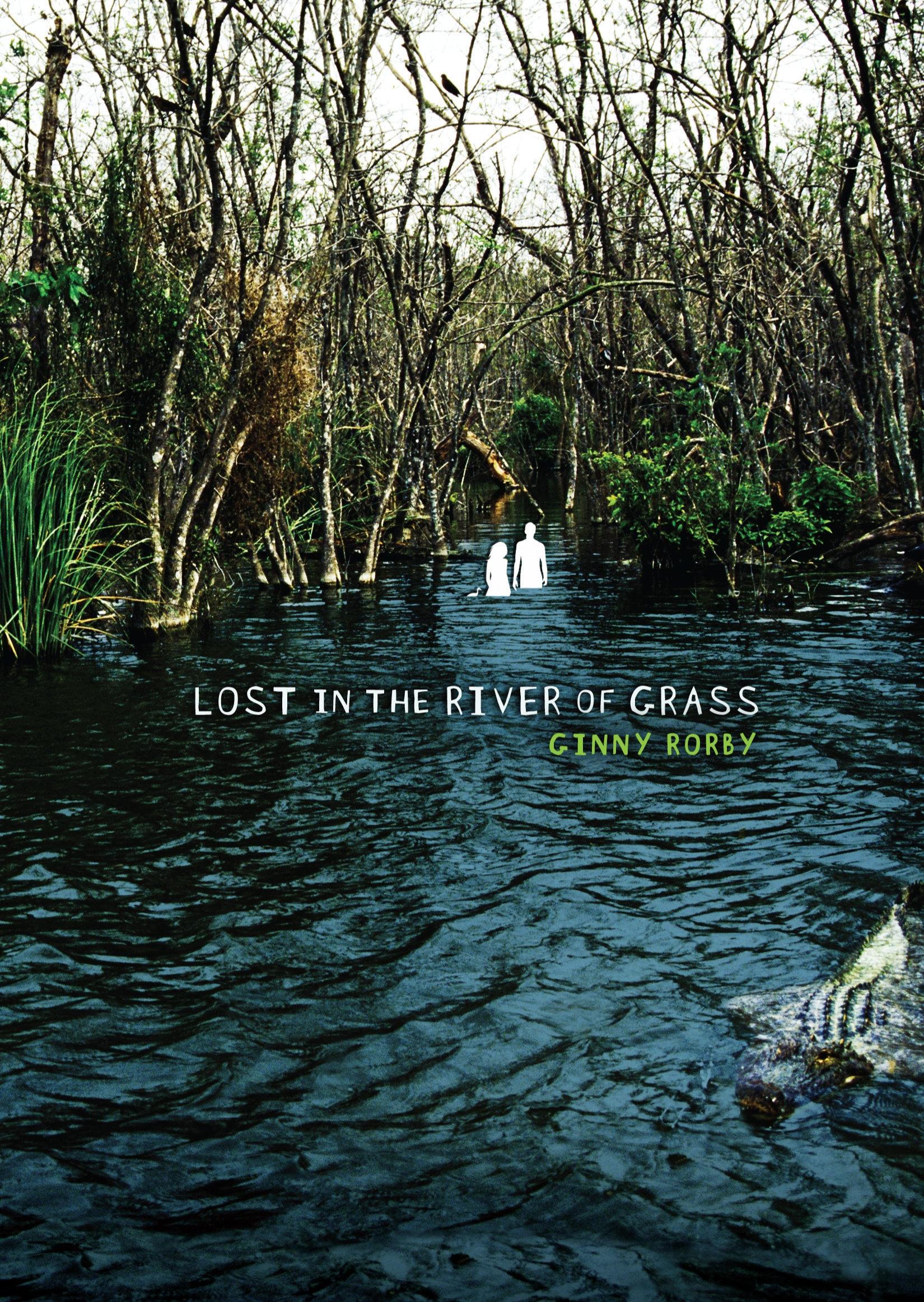 This image is the cover for the book Lost in the River of Grass